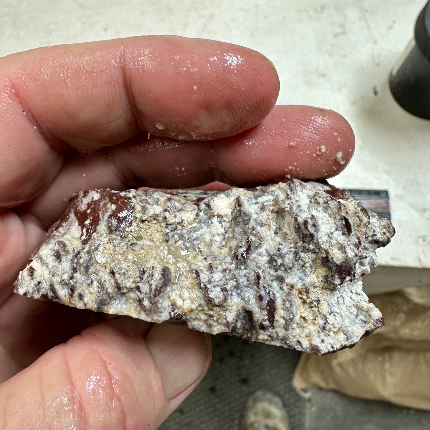 IDAHO WILDFIRE PLUME AGATE Faced Rough - 5.48oz