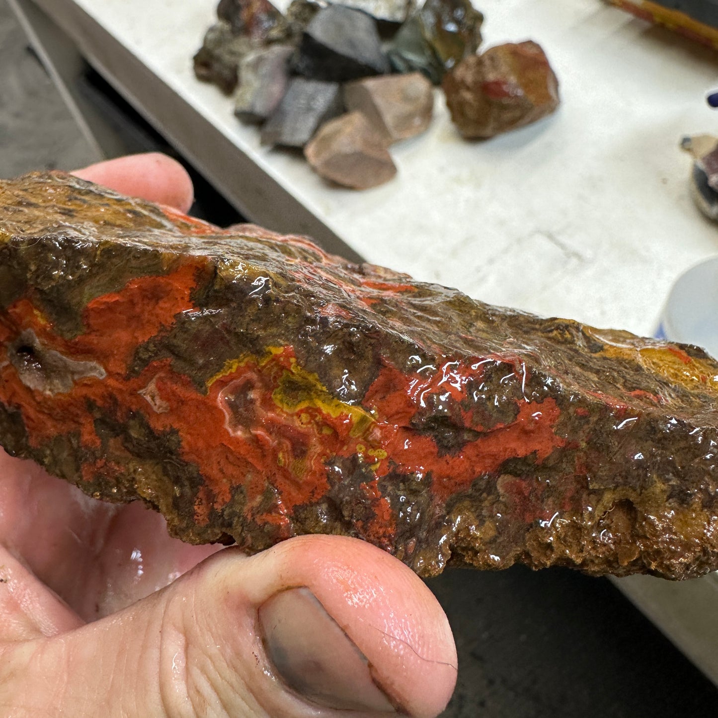 MOROCCAN SEAM AGATE Faced Rough - 1.39 Pounds