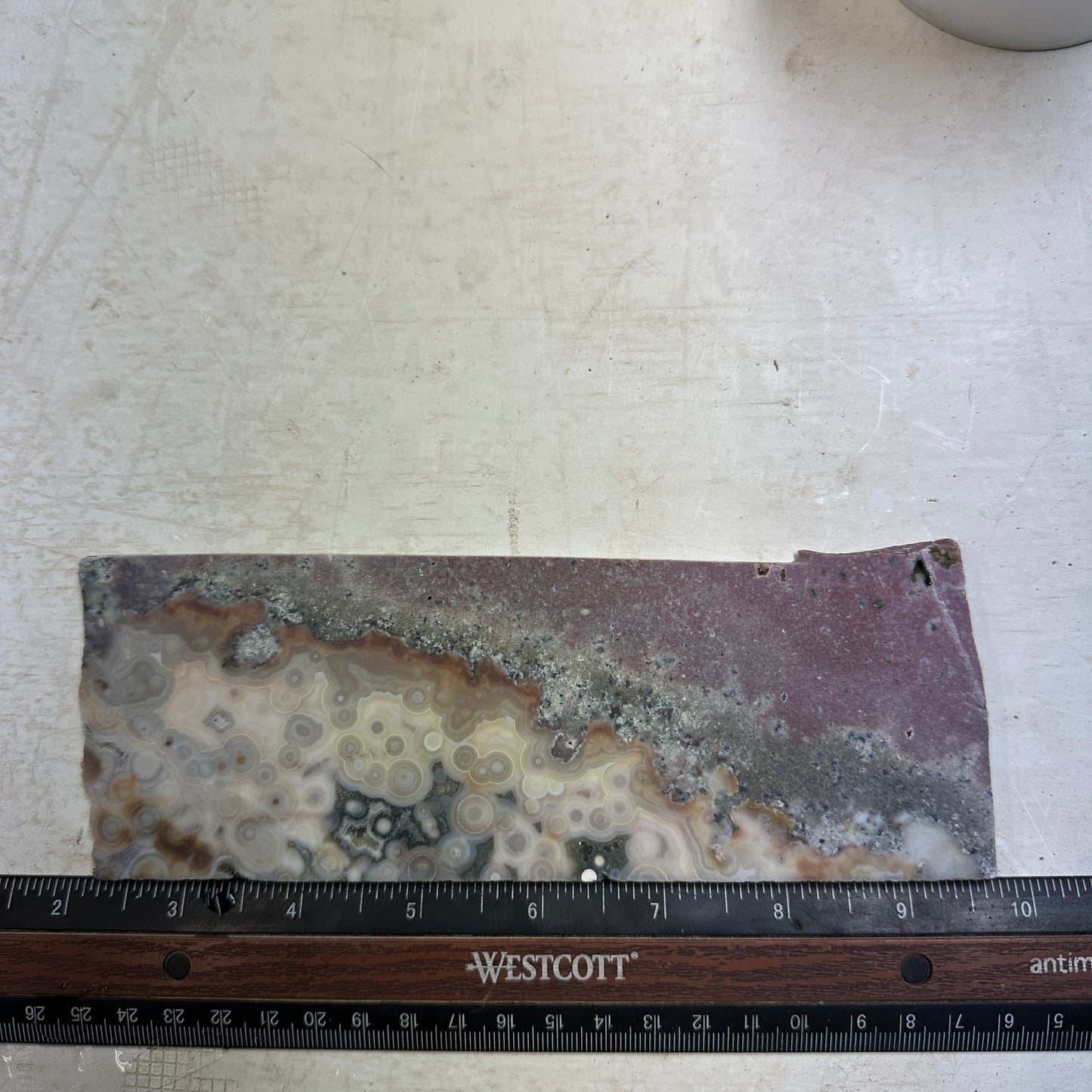 OCEAN JASPER Slab - 195 grams