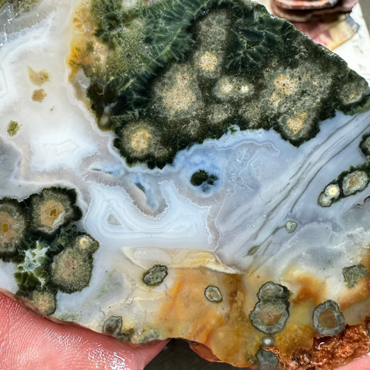 OCEAN JASPER Slab - 153 grams