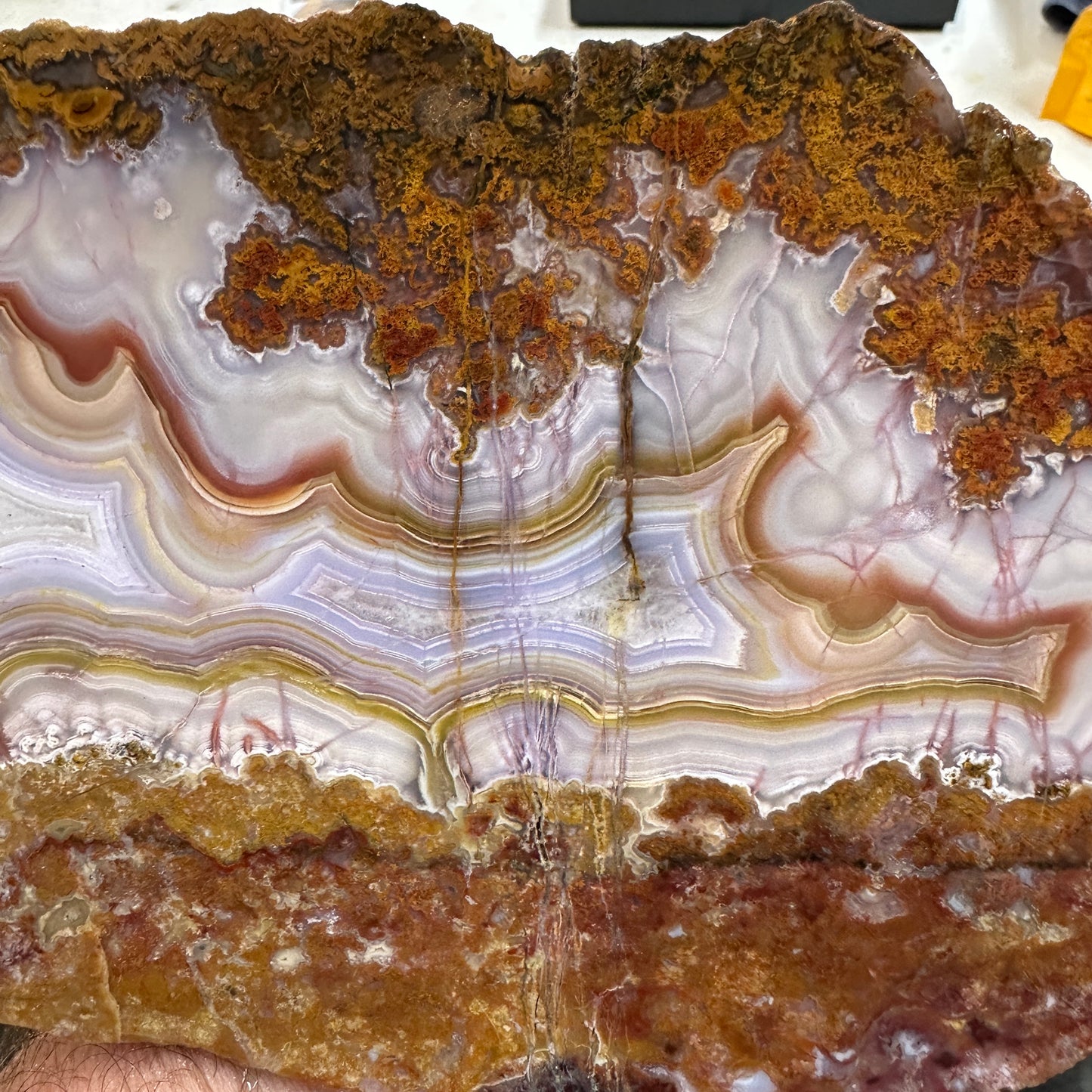 AGUA NUEVA AGATE Slab - 283 grams