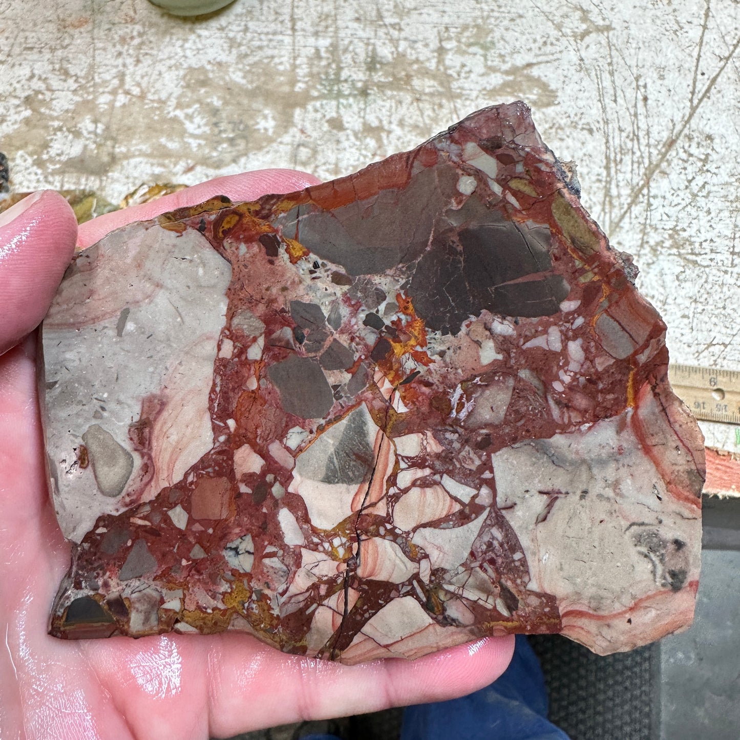 MESCALERO BRECCIA JASPER Slab - 176 grams