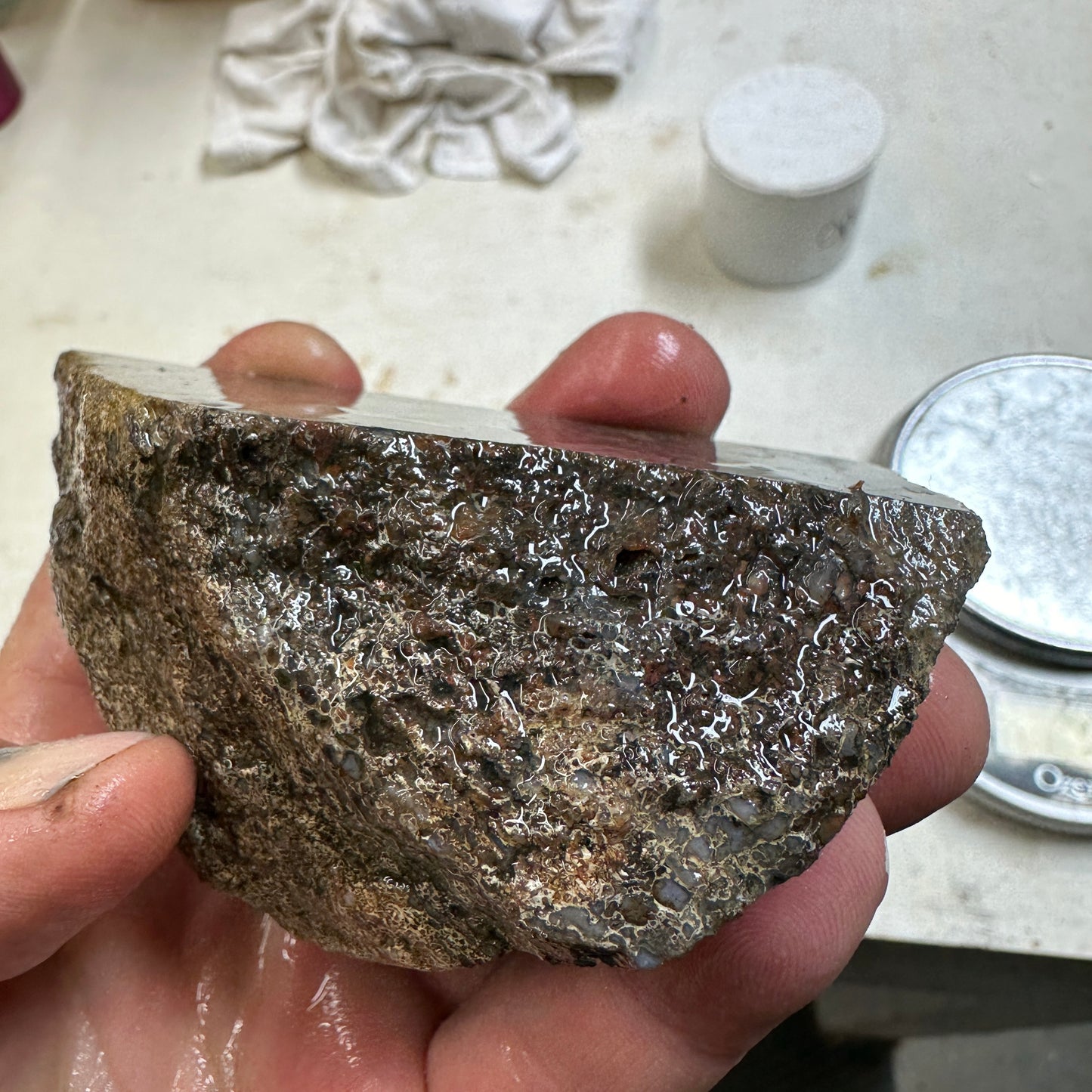 GEMBONE Dinosaur Bone Faced Rough - 0.81 Pounds