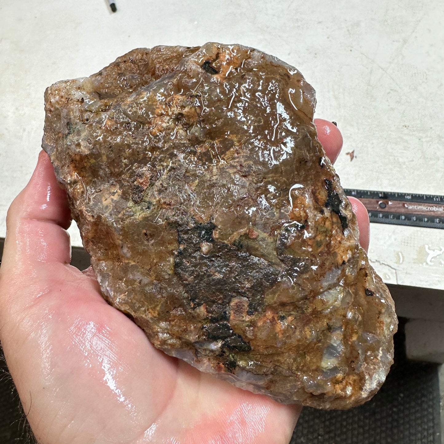 MOROCCAN AHOULI AGATE Rough - 2.62 Pounds