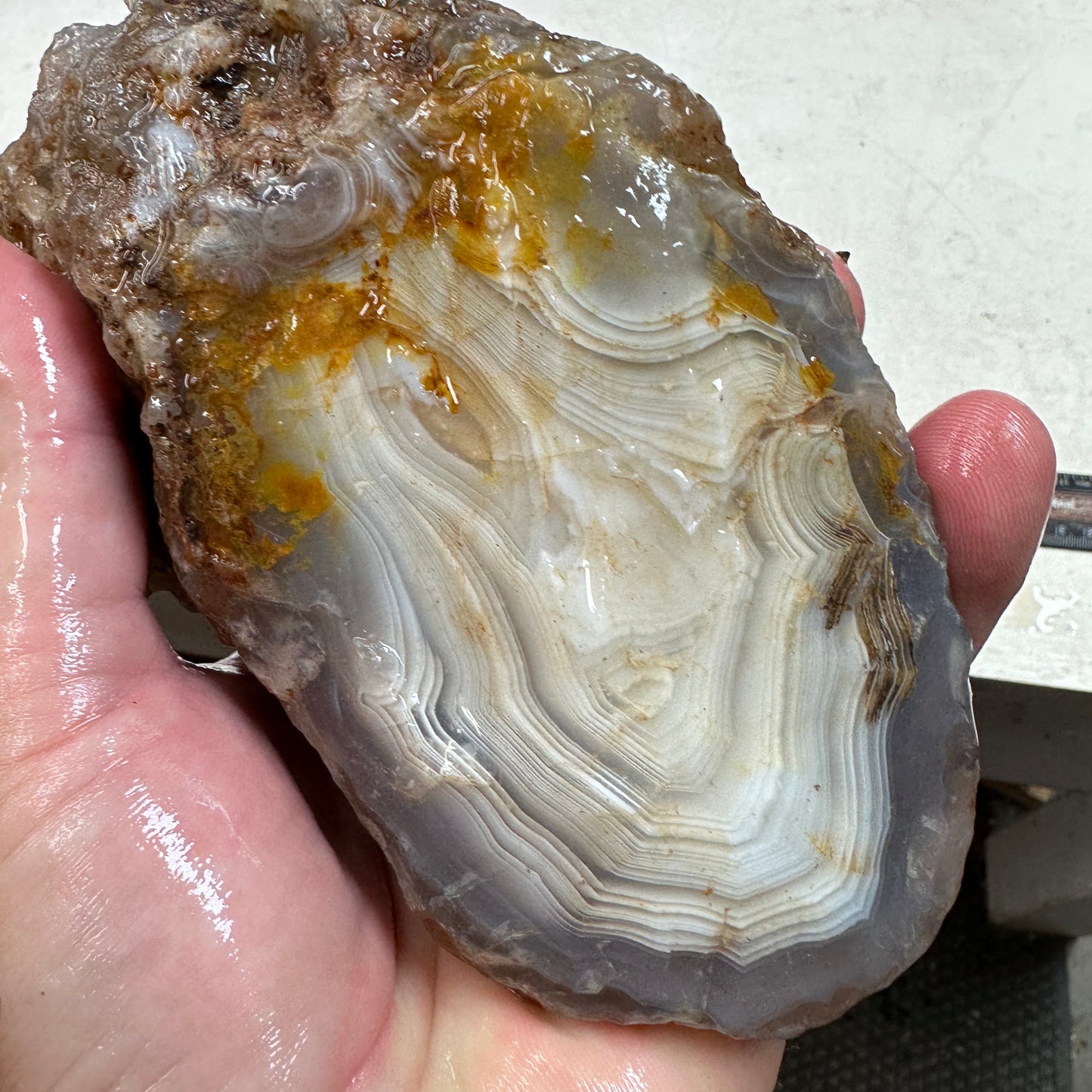 MOROCCAN AHOULI AGATE Rough - 2.62 Pounds