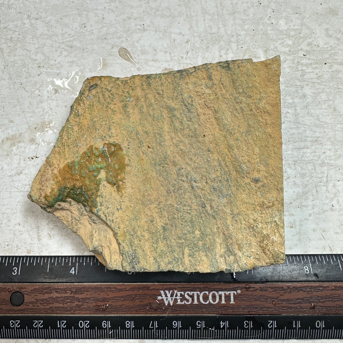 AUSTRALIAN VARISCITE Plate - 326 grams