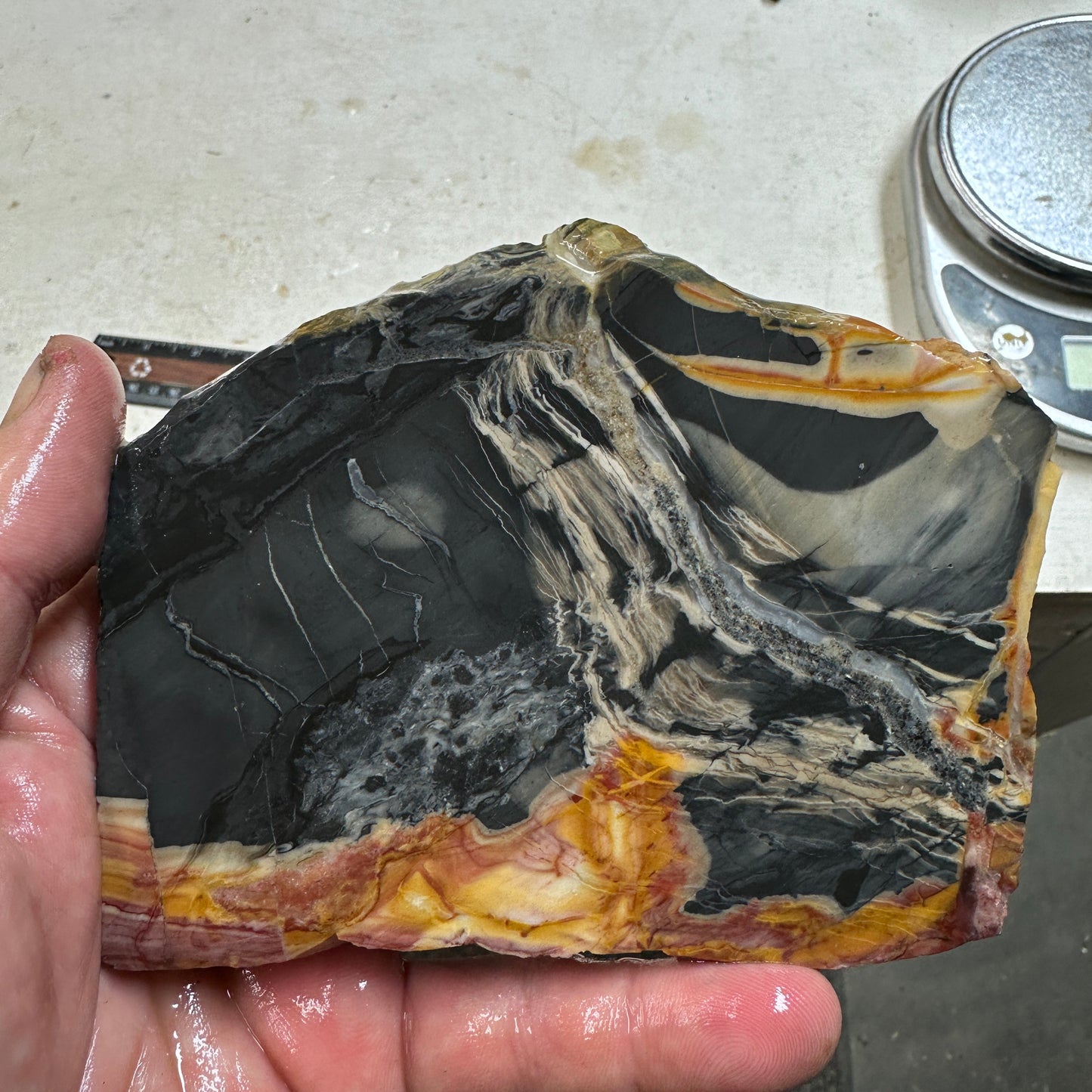 WINDY MOUNTAIN JASPER Slab - 195 grams