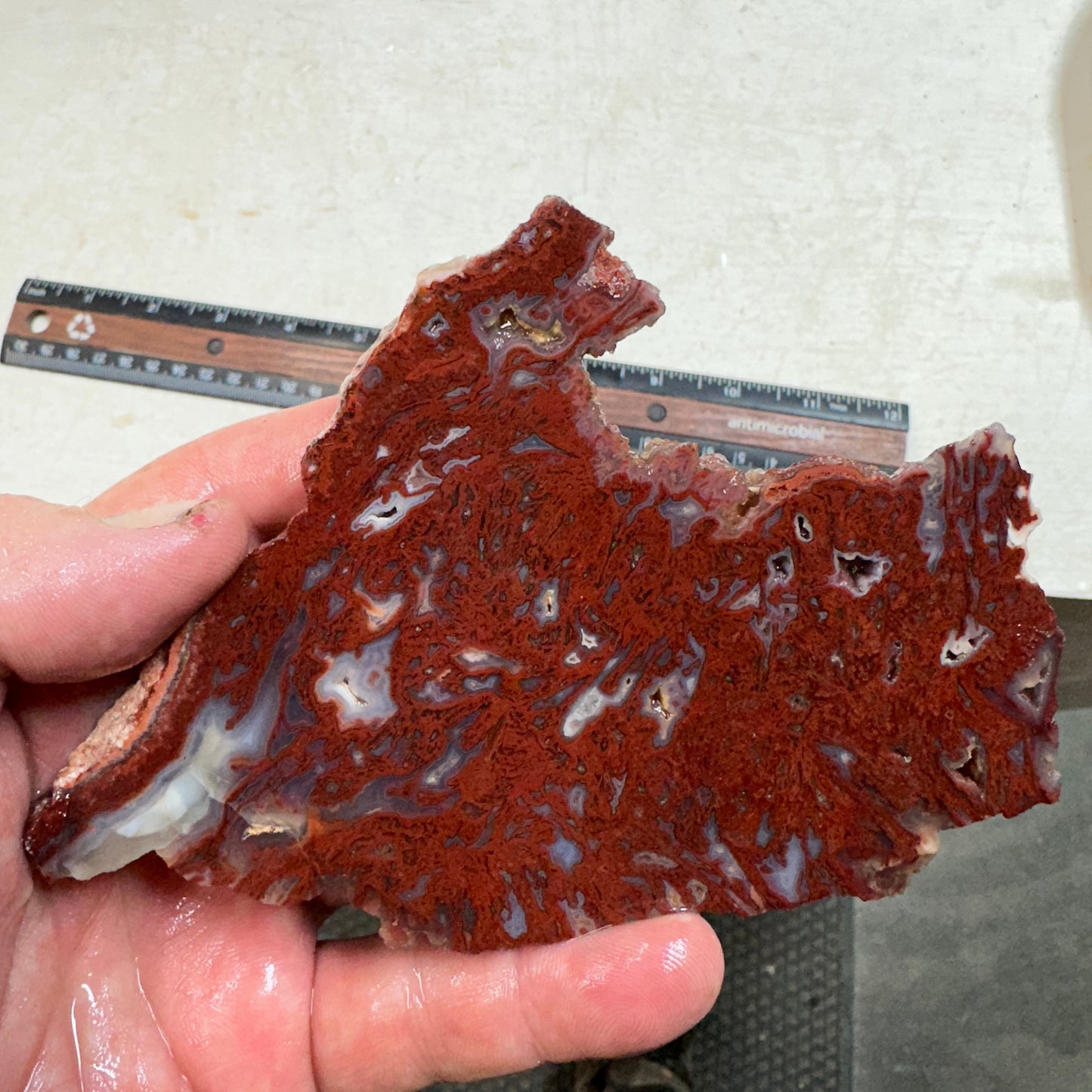 CADY MOUNTAIN AGATE Slab - 168 grams