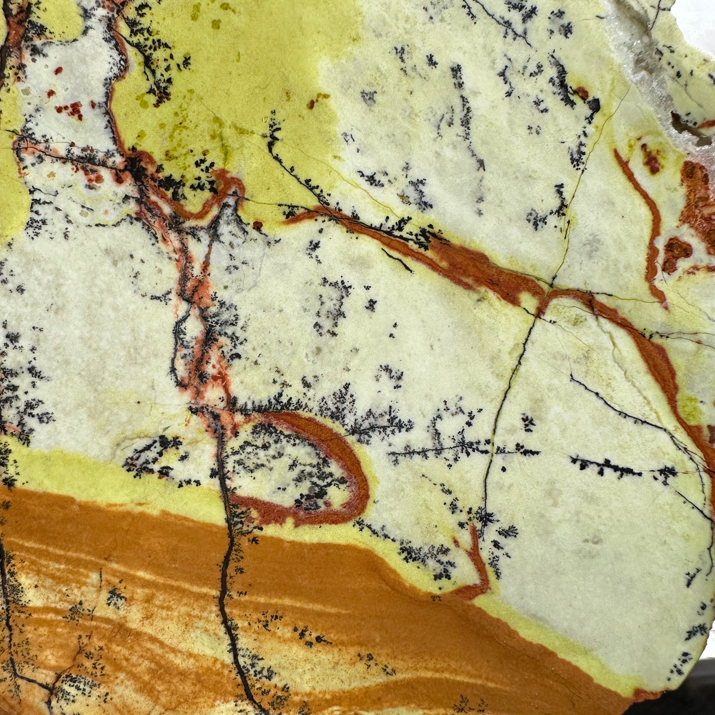 GREEN DREAM Slab - 263 grams