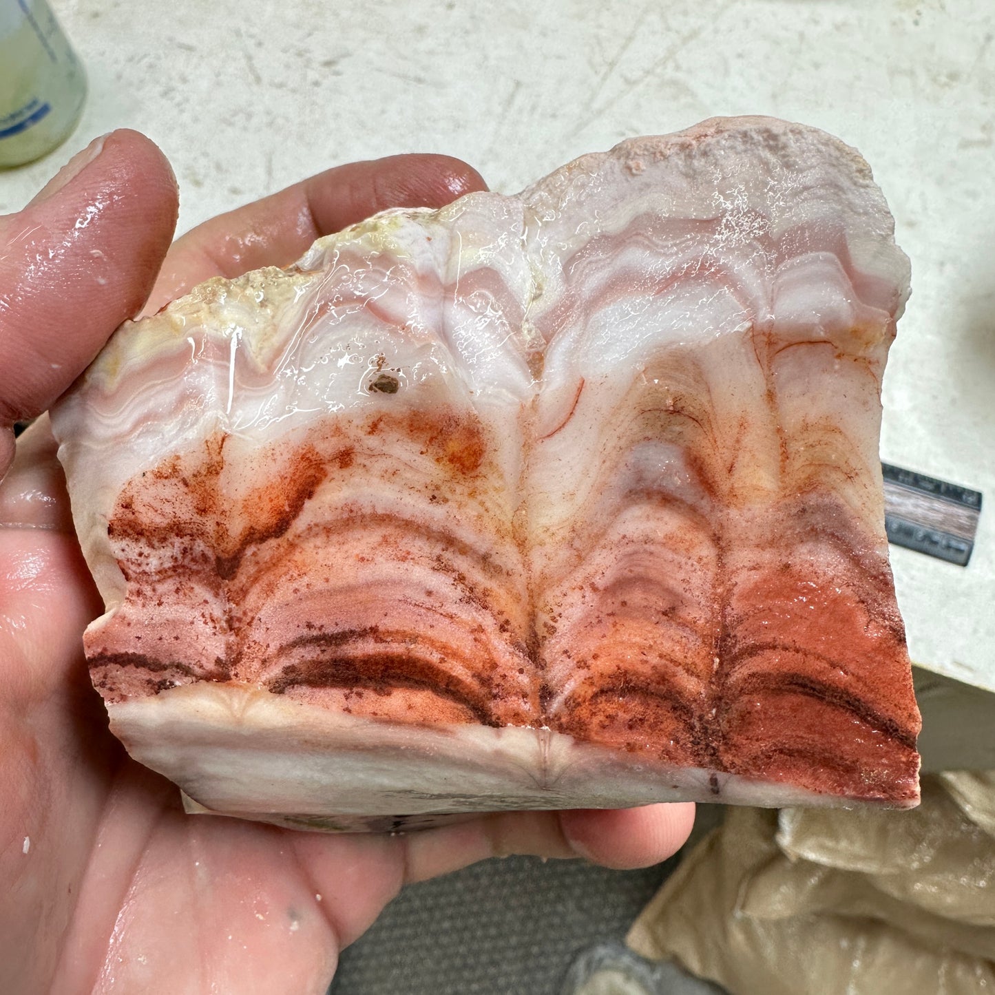 WINDY MOUNTAIN AGATE Rough - 1.50 Pounds