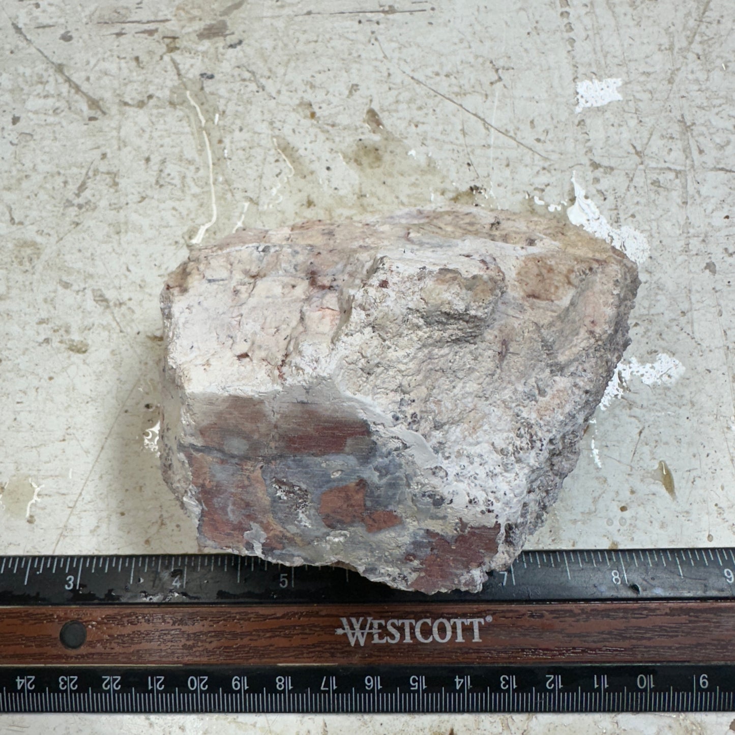 TIFFANY STONE Rough - 1.34 Pounds