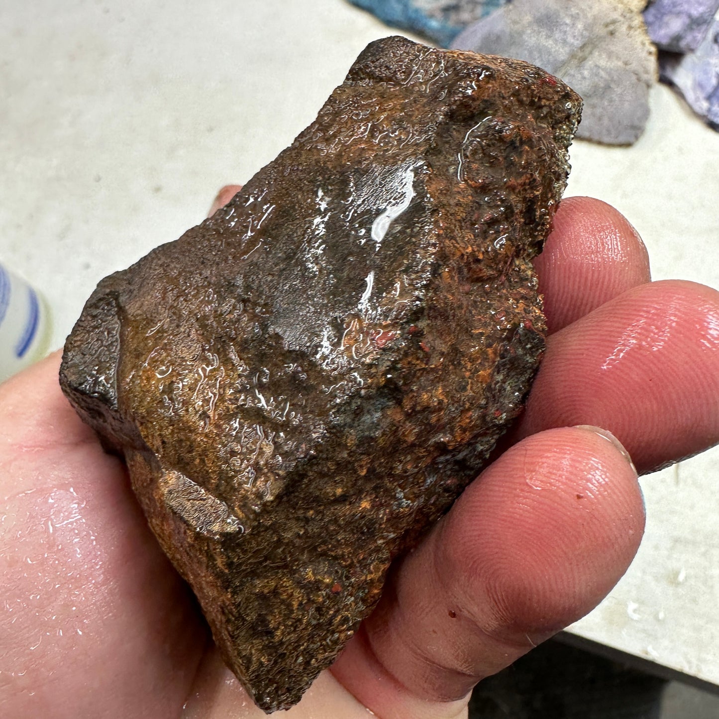 GEMBONE Dinosaur Bone Faced Rough - 0.83 Pounds