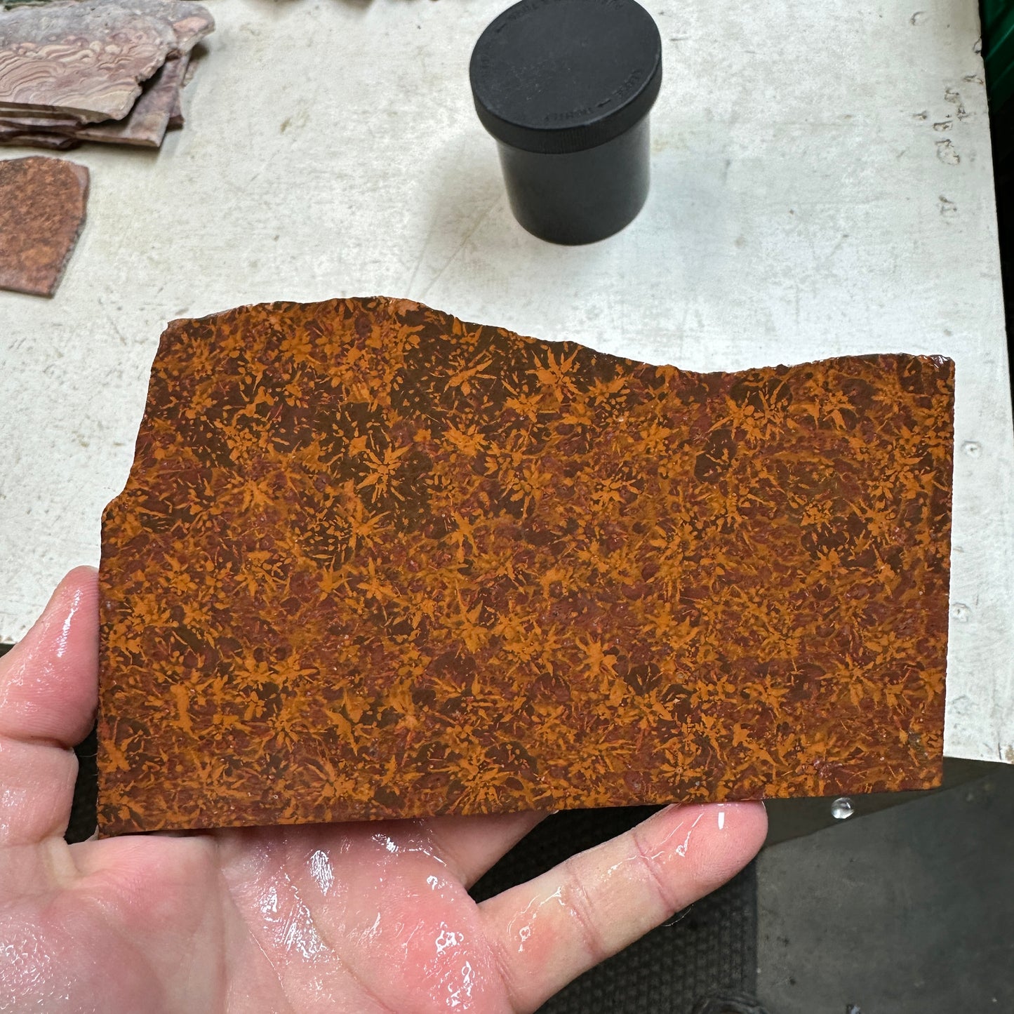 STARBURST RHYOLITE Slab - 260 grams