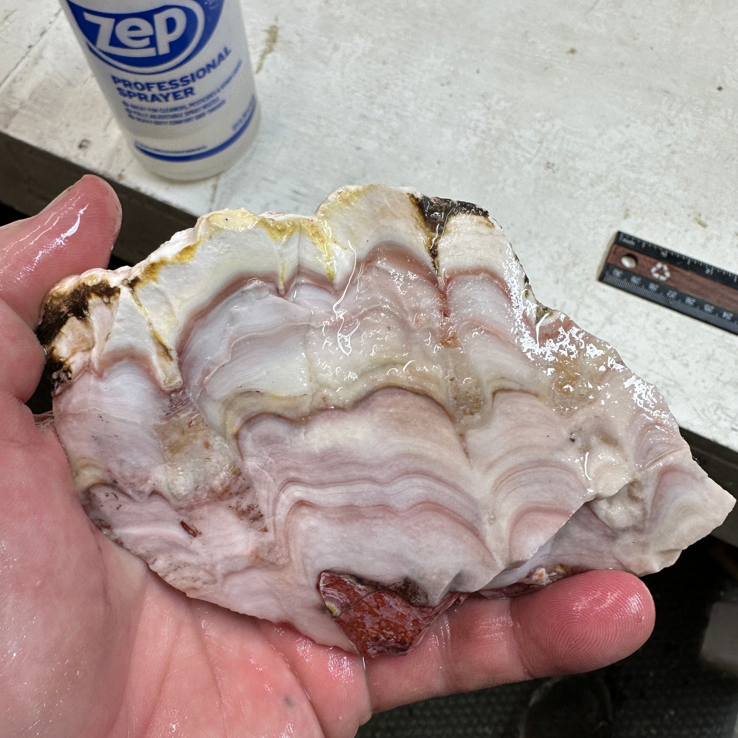 WINDY MOUNTAIN AGATE Rough - 1.63 Pounds