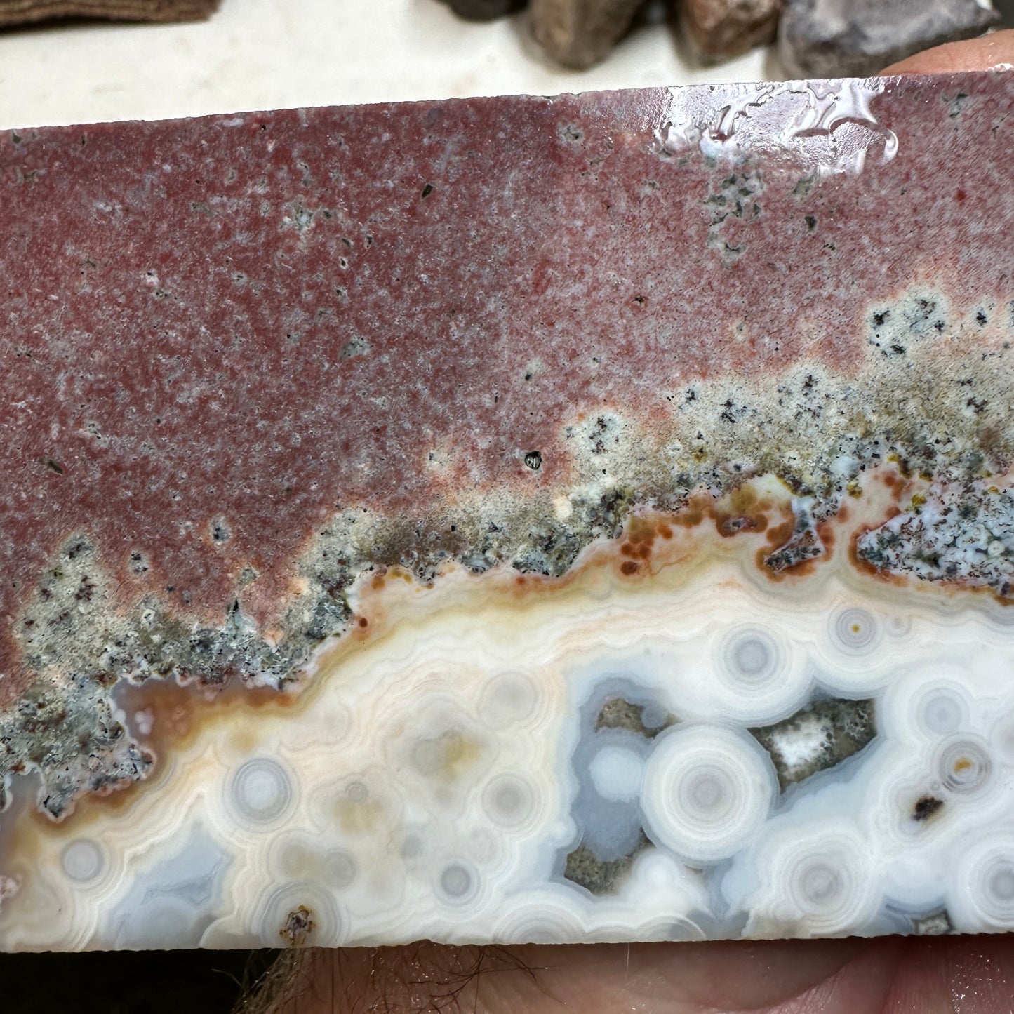 OCEAN JASPER Slab - 195 grams