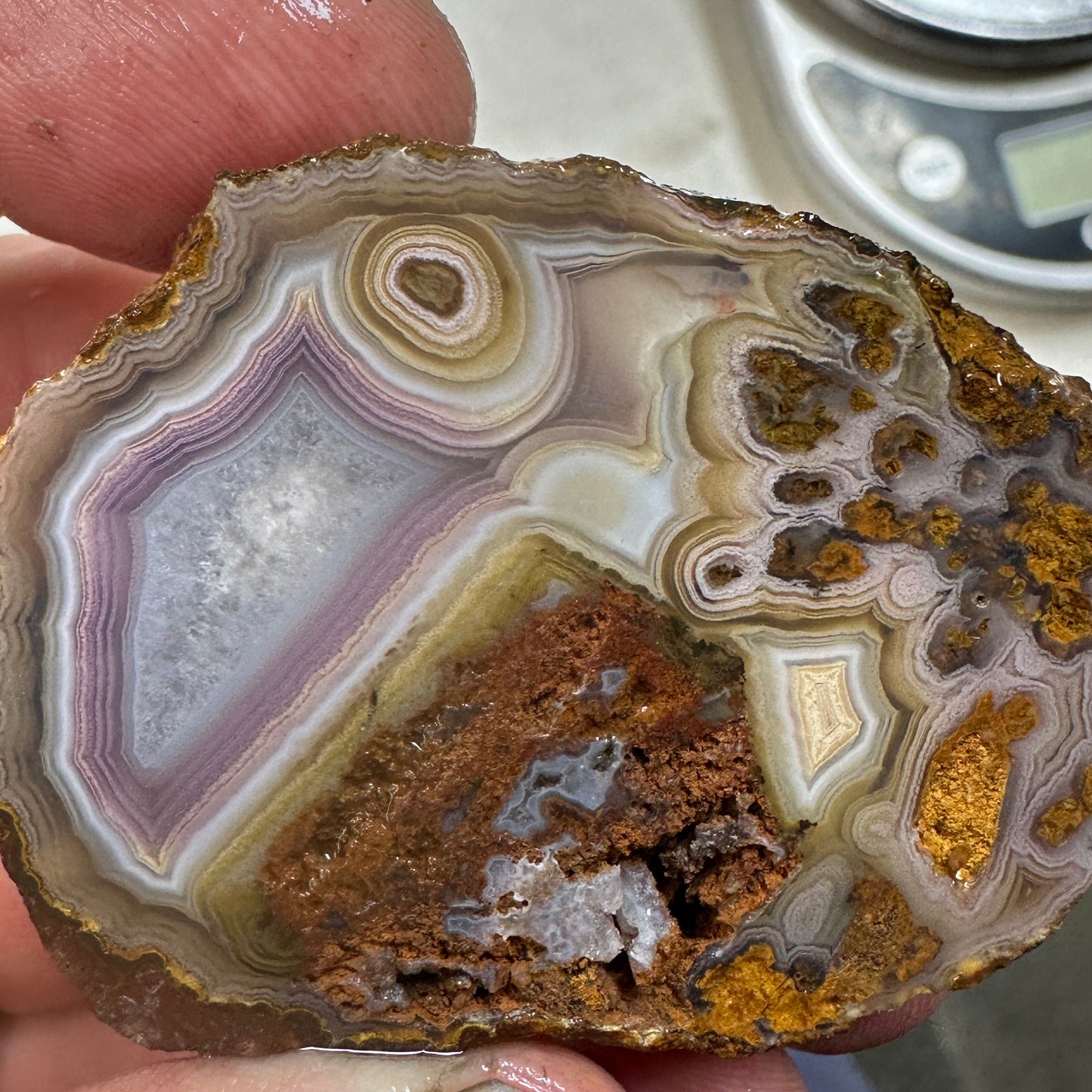 COYOMITO AGATE Rough - 0.20 Pounds