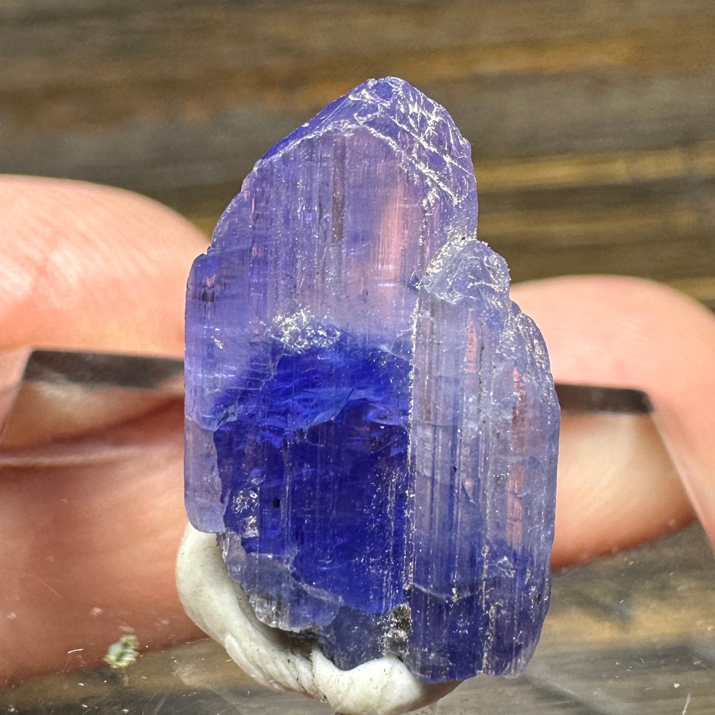 TANZANITE Crystal Display Mineral Specimen