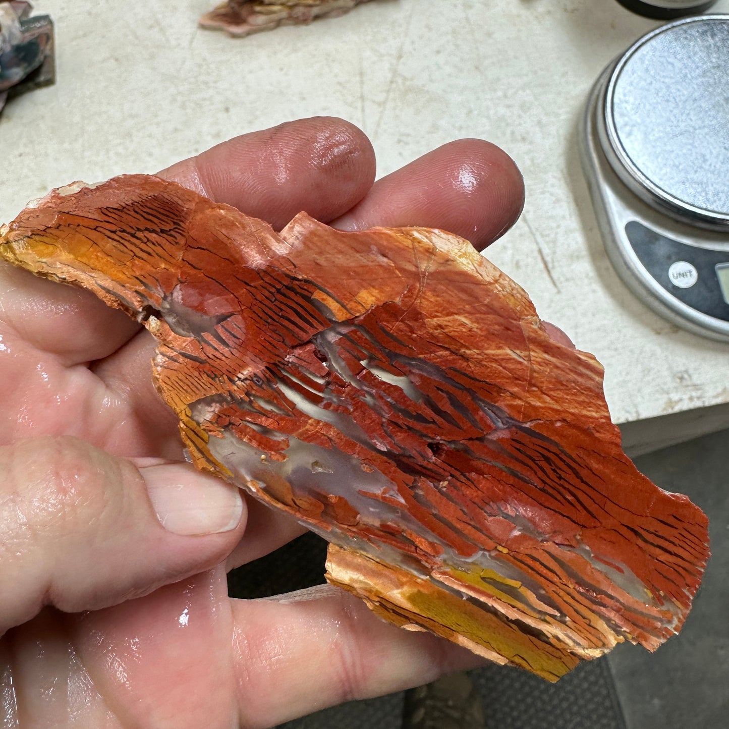 SUNSET HOWARDITE Slab - 61 grams