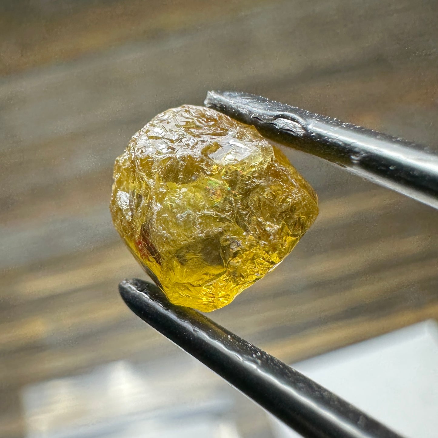 5.0ct MALI GARNET Facet Rough