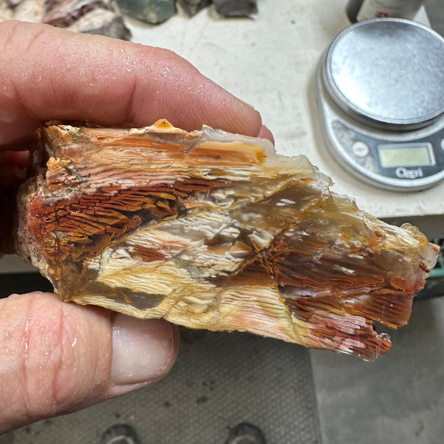 Sunset HOWARDITE Faced Rough - 0.71 pounds