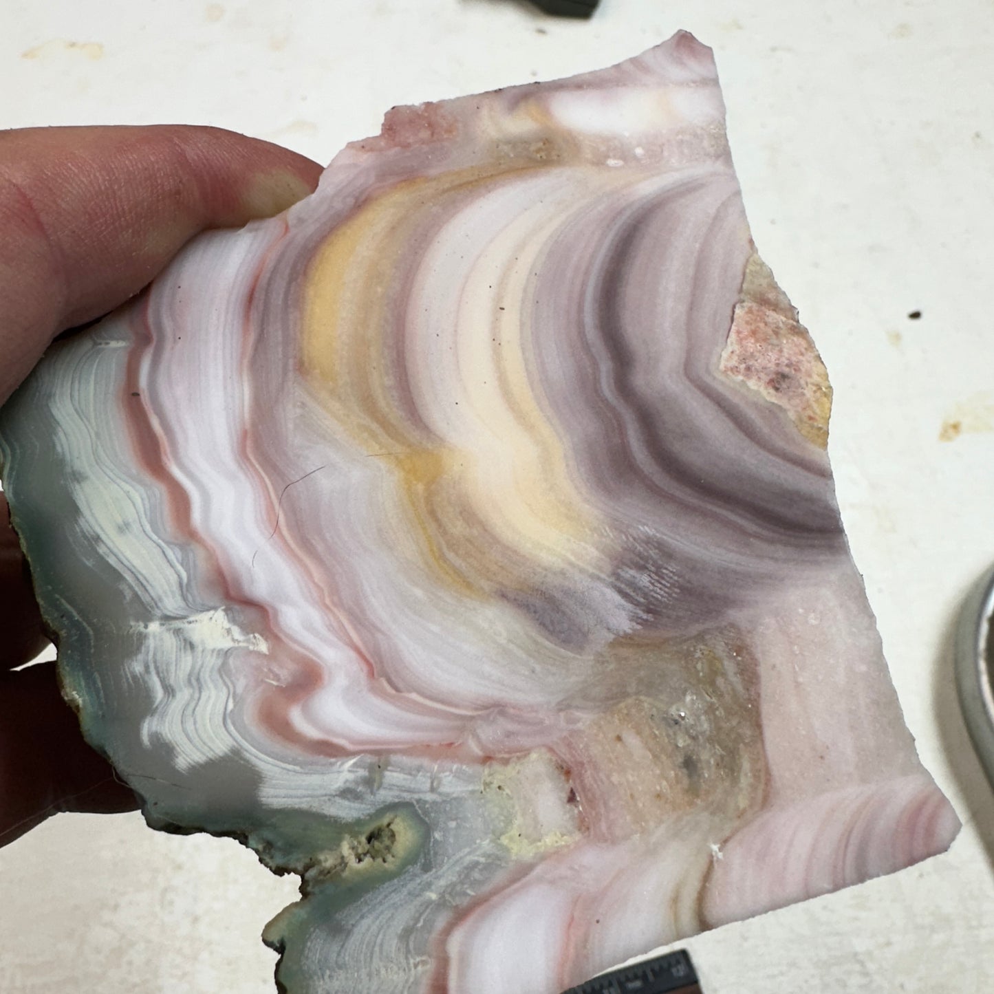 WINDY MOUNTAIN AGATE Faced Rough - 1.48 Pounds