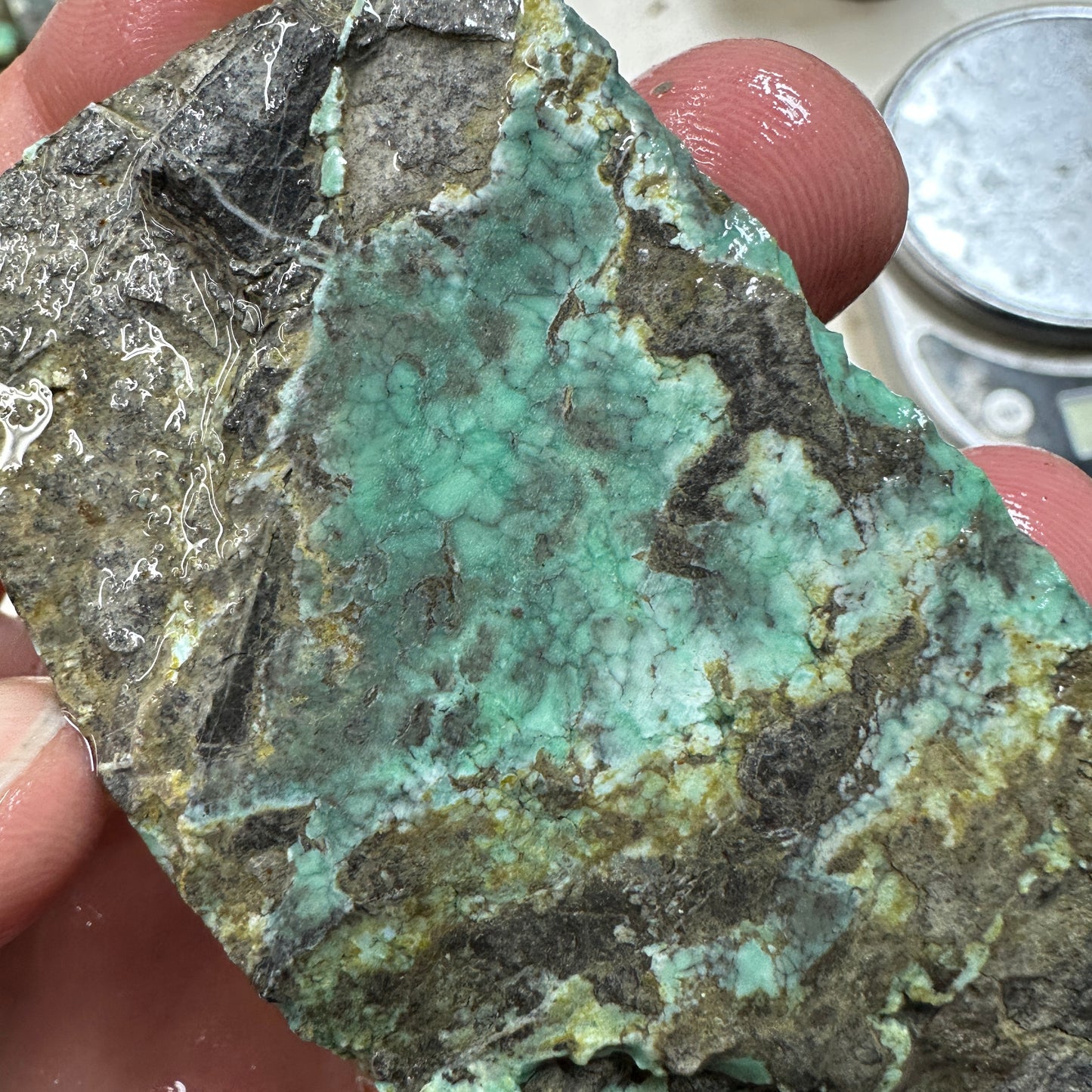 BROKEN ARROW VARISCITE Trimmed Rough Slab - 83 grams