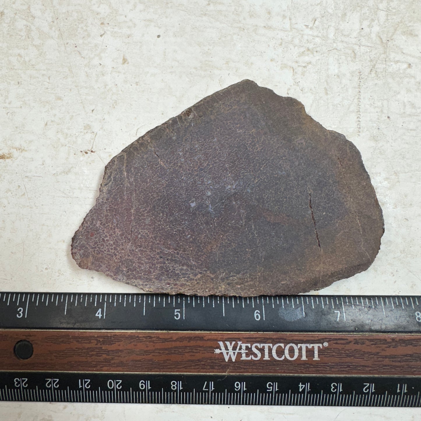 GEMBONE Dinosaur Bone Slab - 86 grams