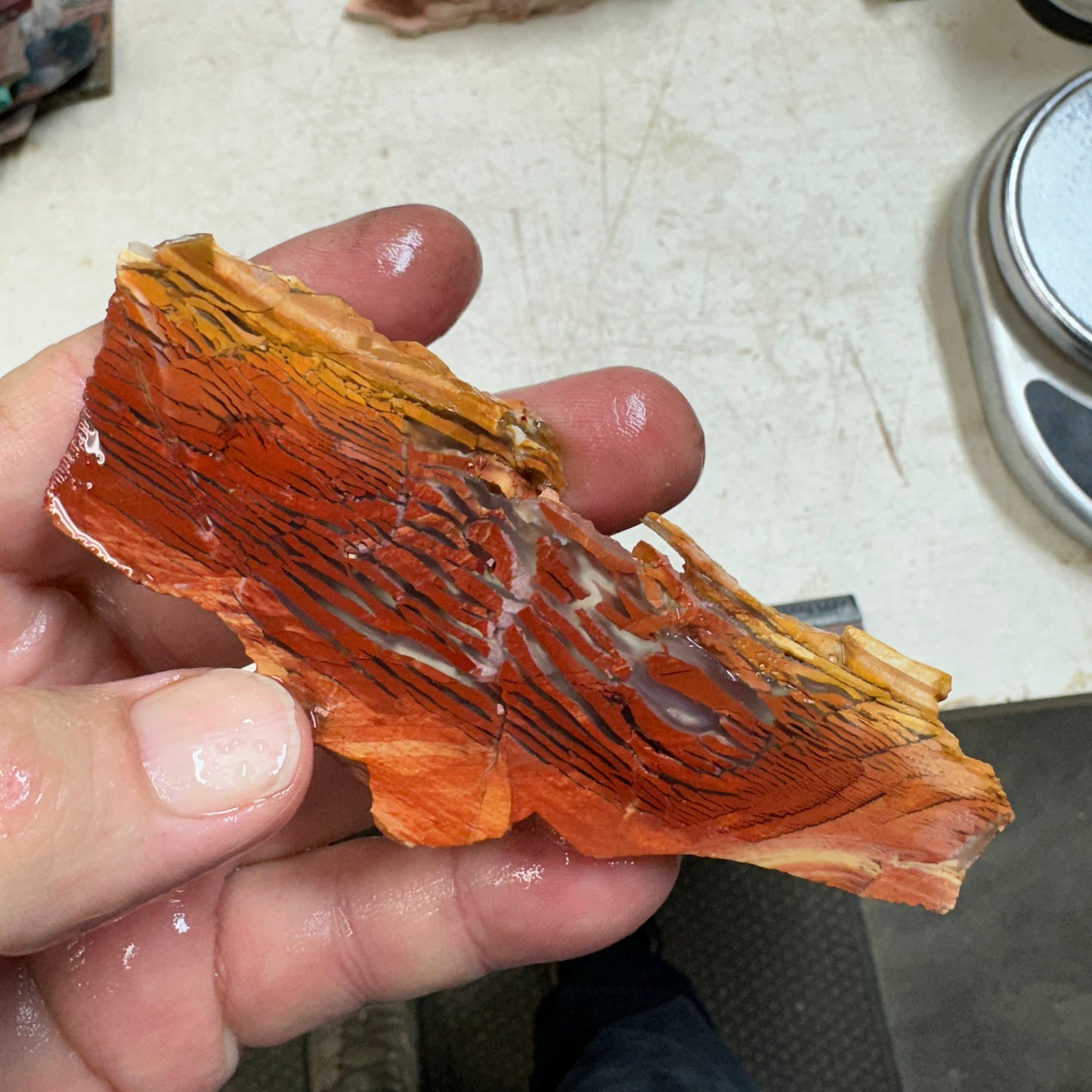 SUNSET HOWARDITE Slab - 51 grams