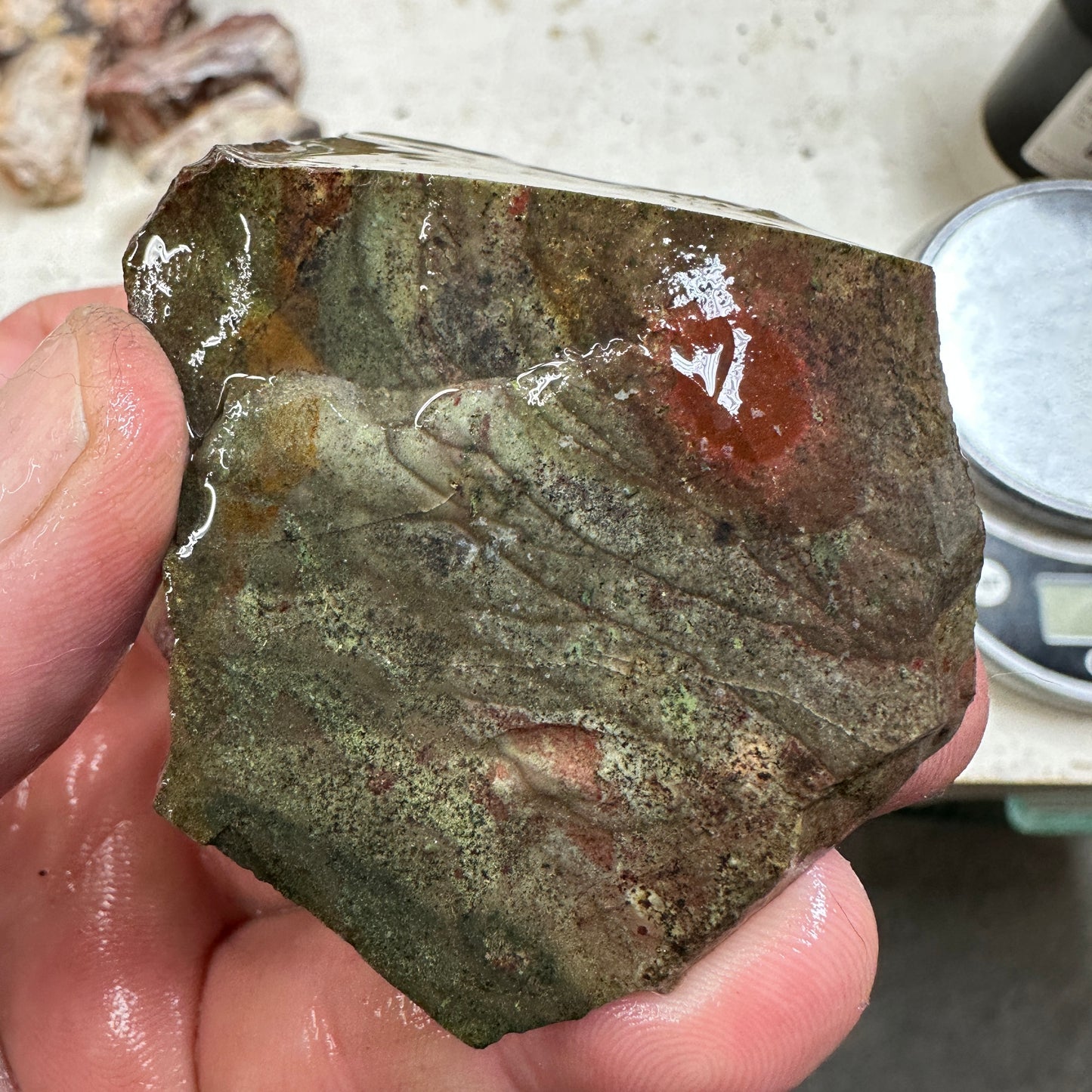 Orbed ECHO RIDGE JASPER Rough - 0.34 Pounds