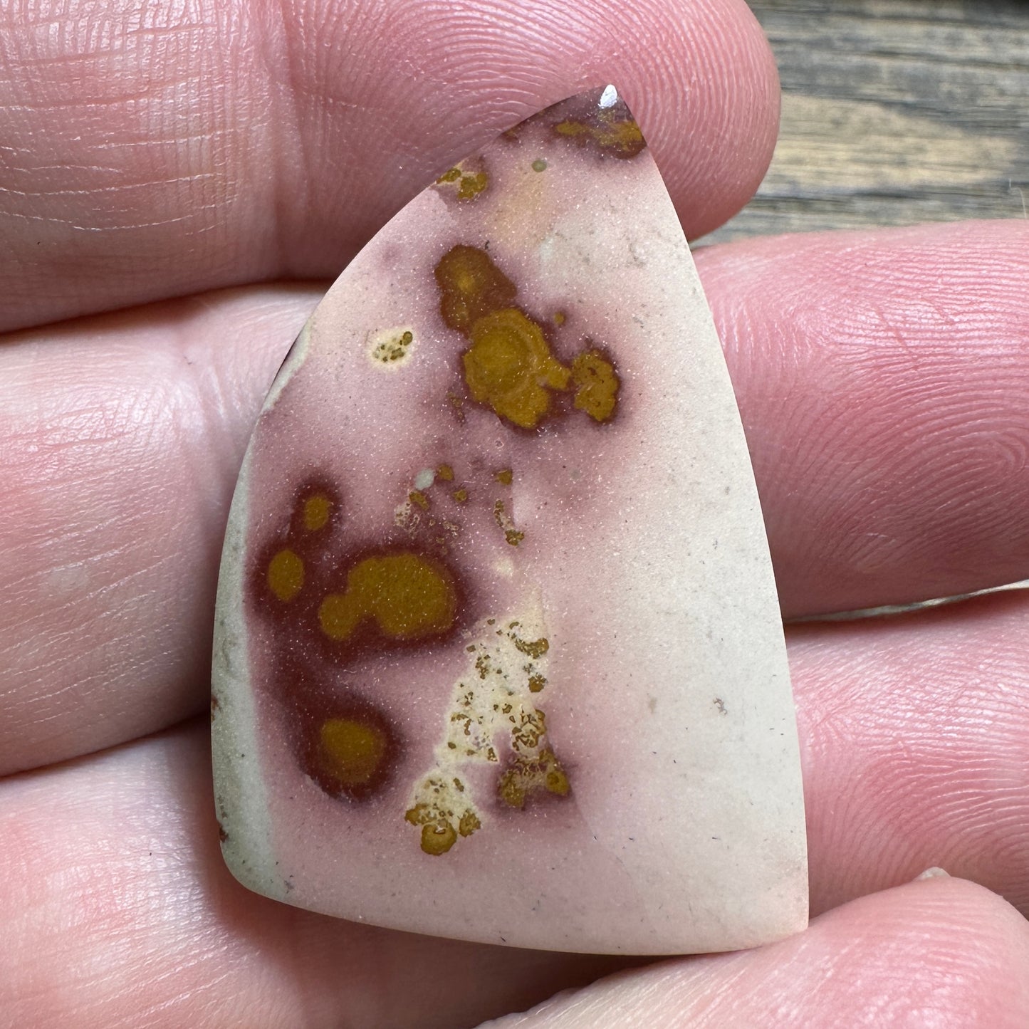 DRY CREEK JASPER cabochon