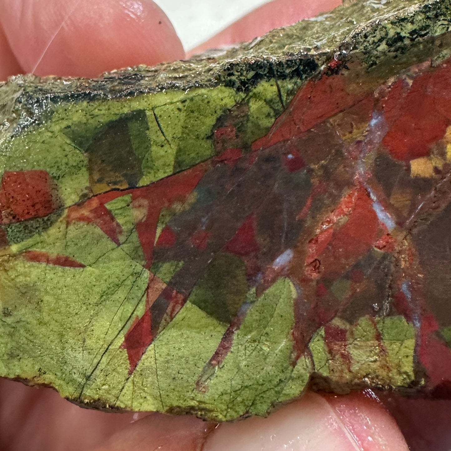 ECHO RIDGE JASPER Rough - 0.81 Pounds