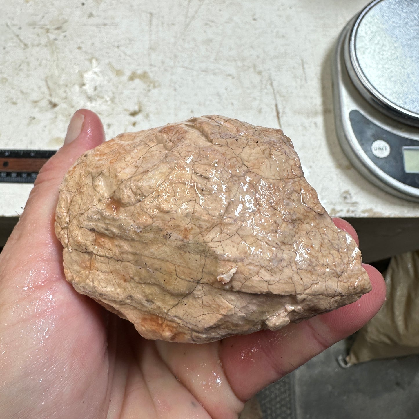 Rare Orbed TIFFANY STONE Rough - 1.78 Pounds