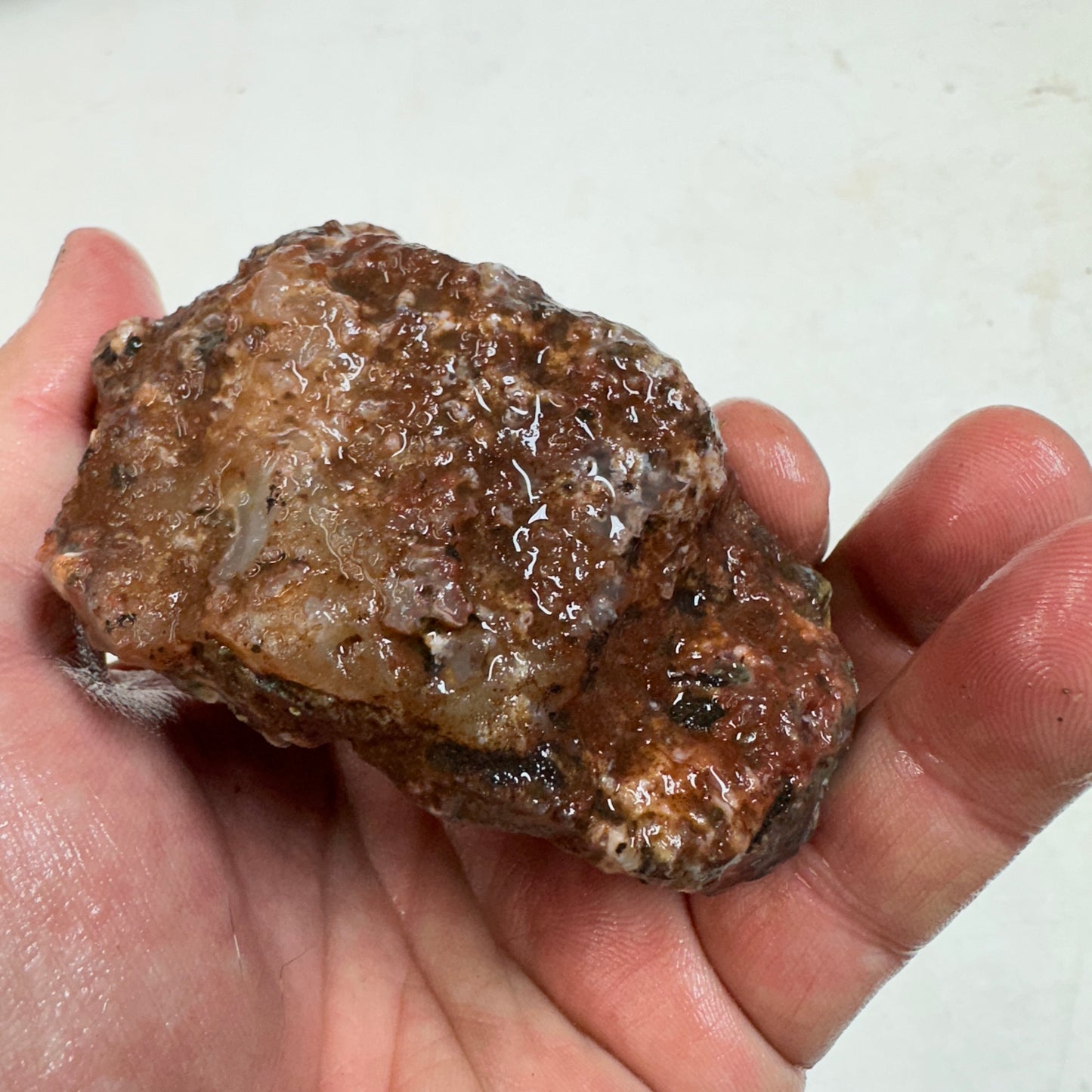 MOROCCAN AGATE Rough - 0.82 Pounds