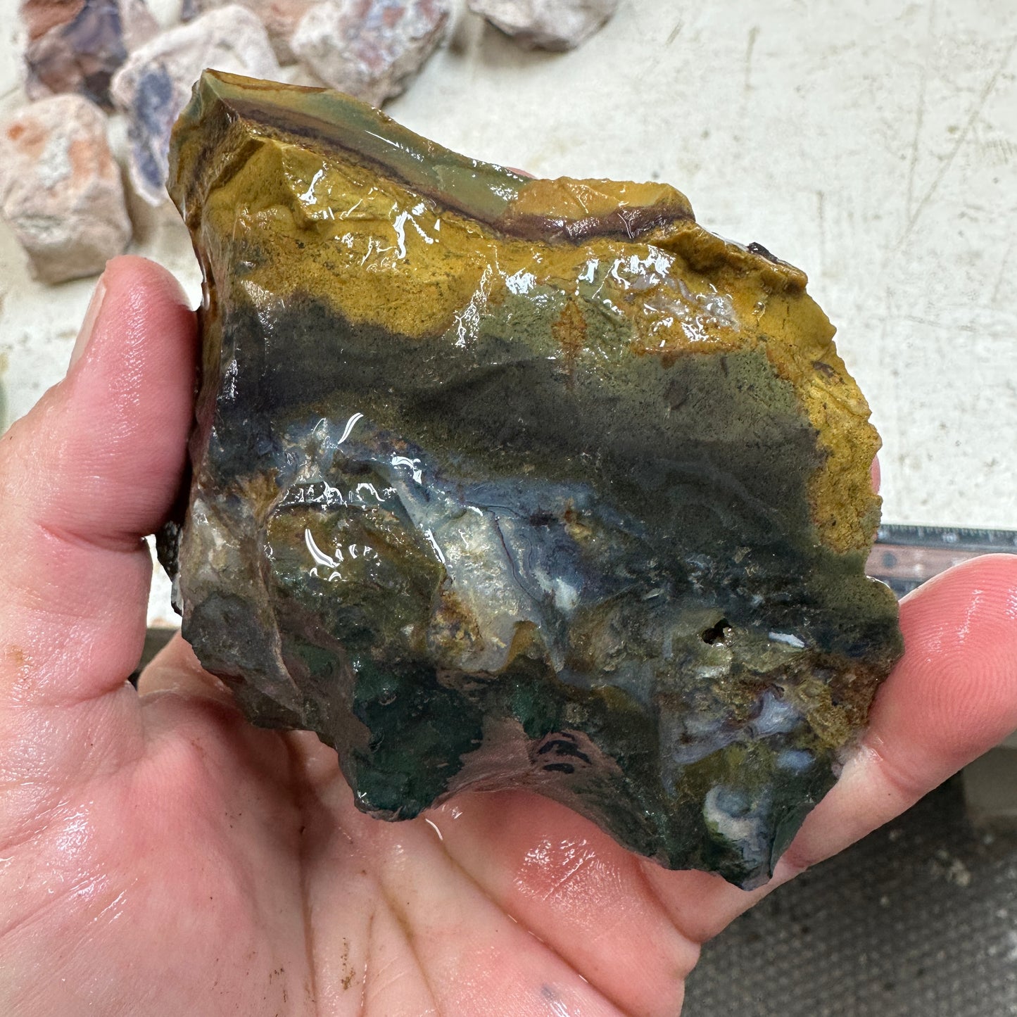 ECHO RIDGE JASPER Rough - 0.93 Pounds