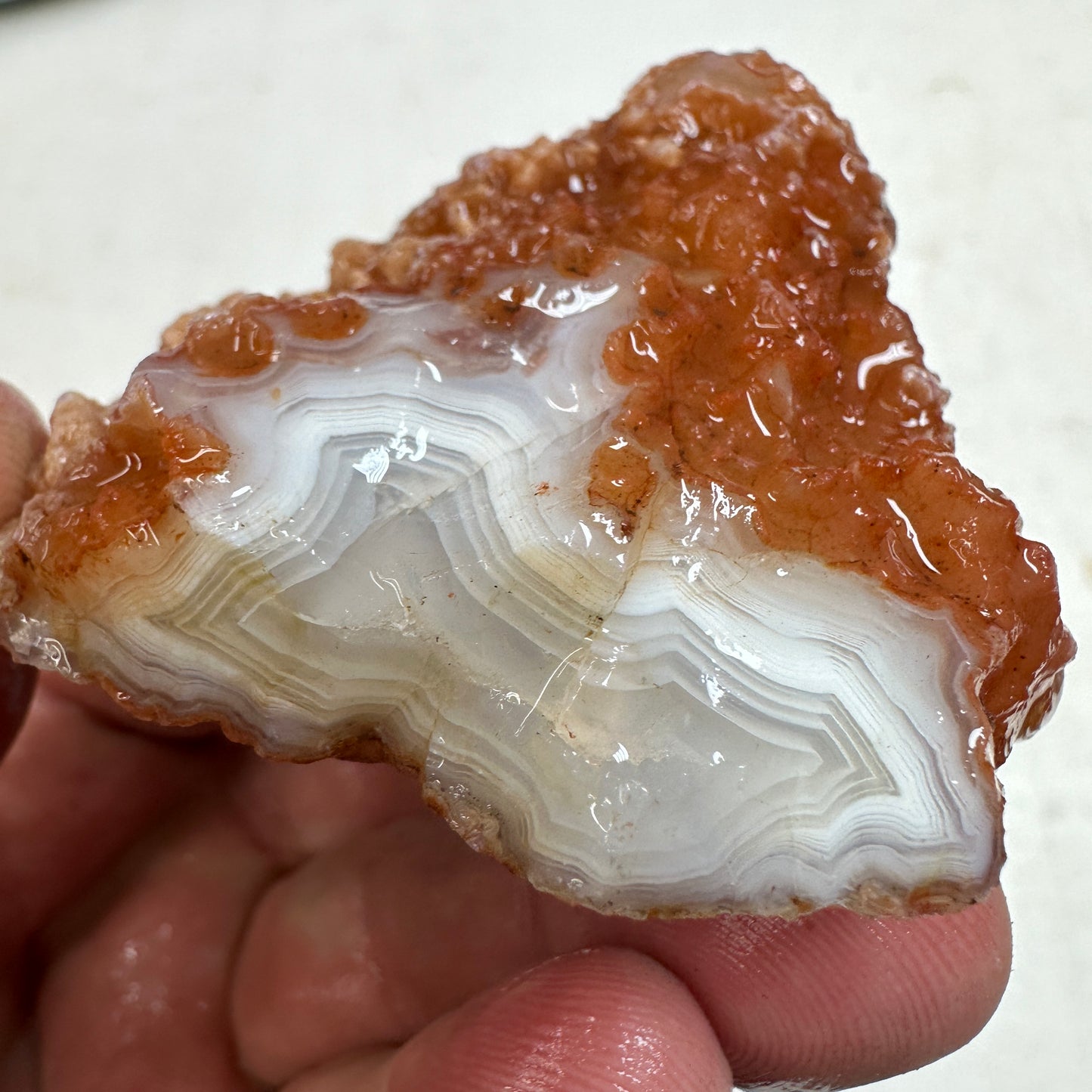 MOROCCAN AHOULI AGATE Rough - 0.41 Pounds