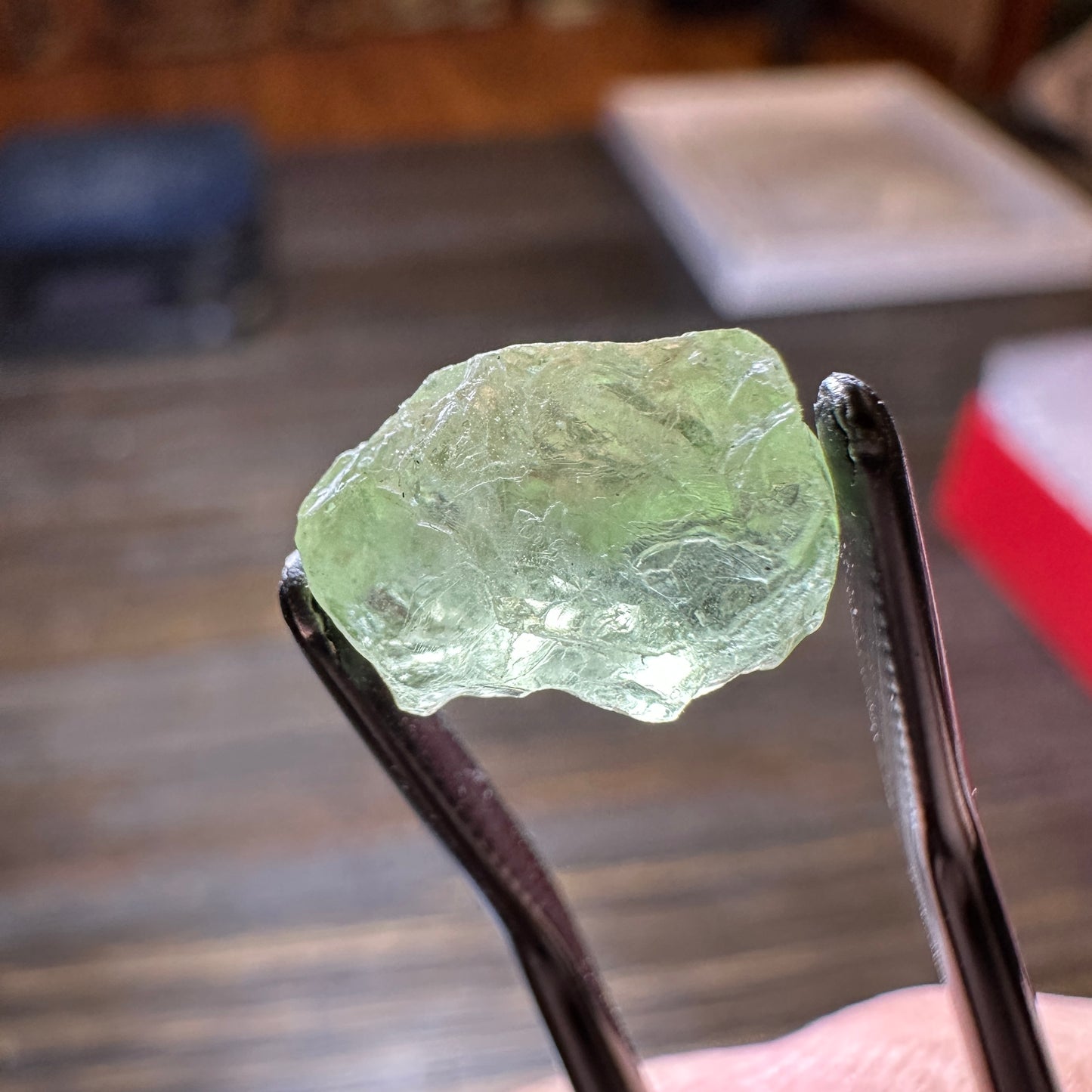 5.50ct GREEN DRAGON GARNET Facet Rough