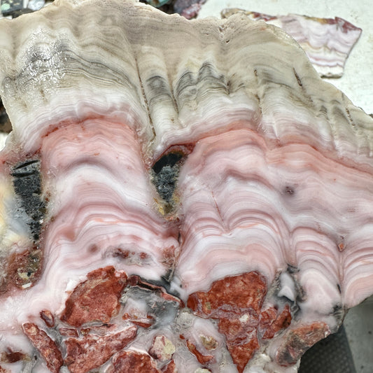 WINDY MOUNTAIN AGATE Slab - 262 grams