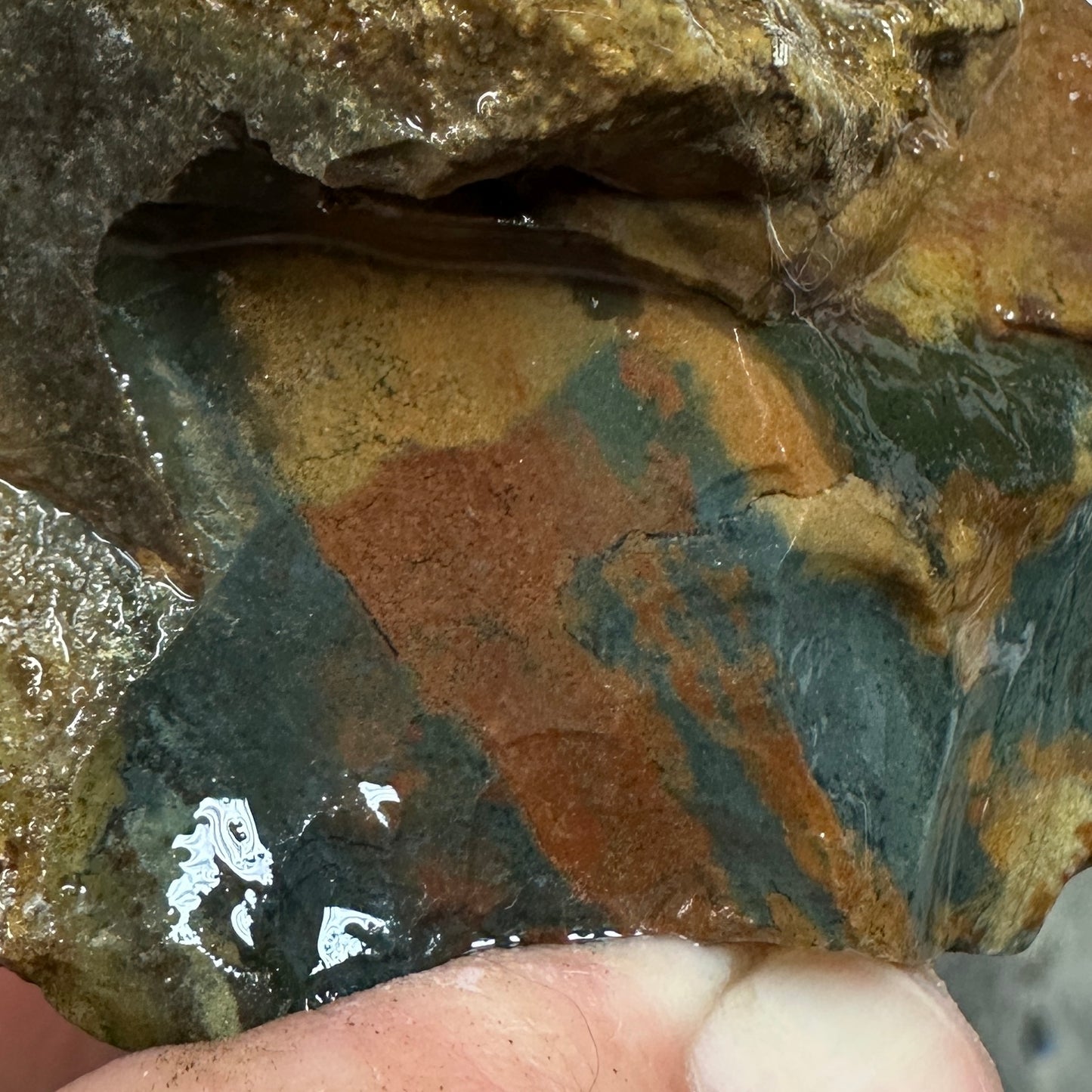 ECHO RIDGE JASPER Rough - 0.90 Pounds