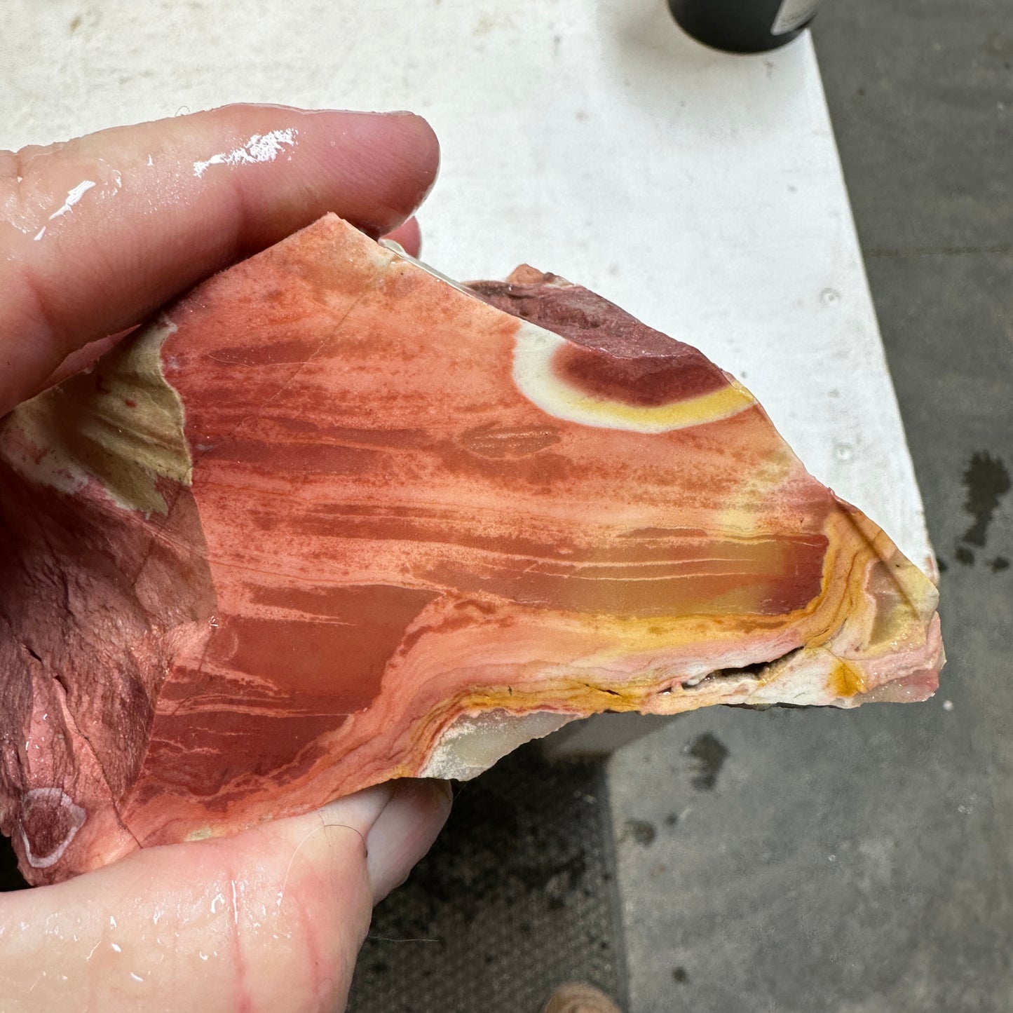 WINDY MOUNTAIN JASPER Faced Rough - 1.66 Pounds