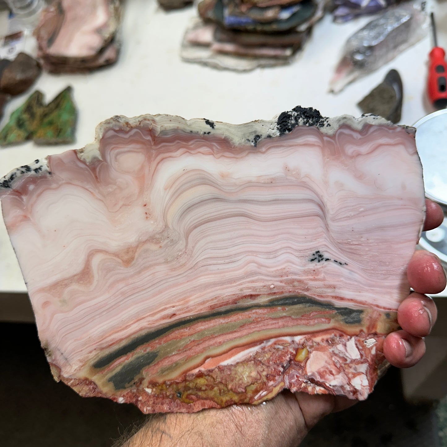 WINDY MOUNTAIN AGATE Slab - 520 grams