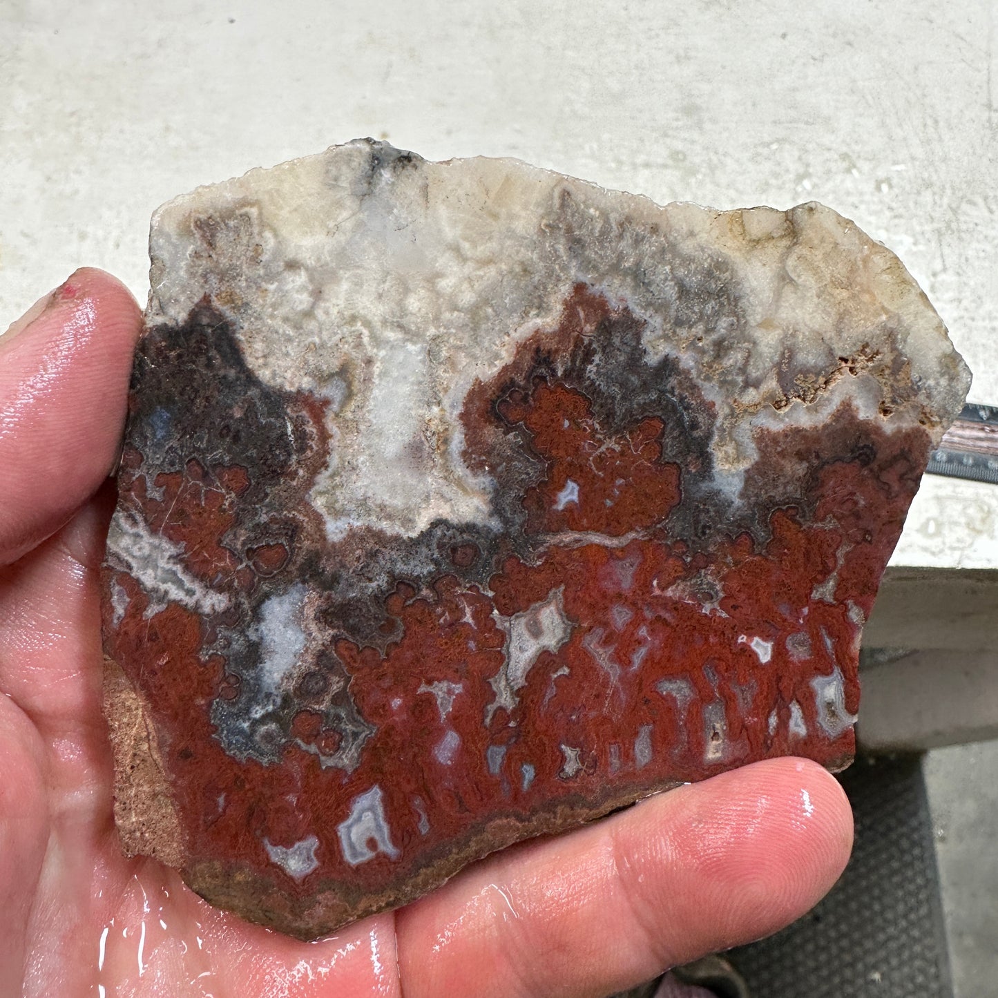 PAUL BUNYAN PLUME AGATE Slab - 122 grams