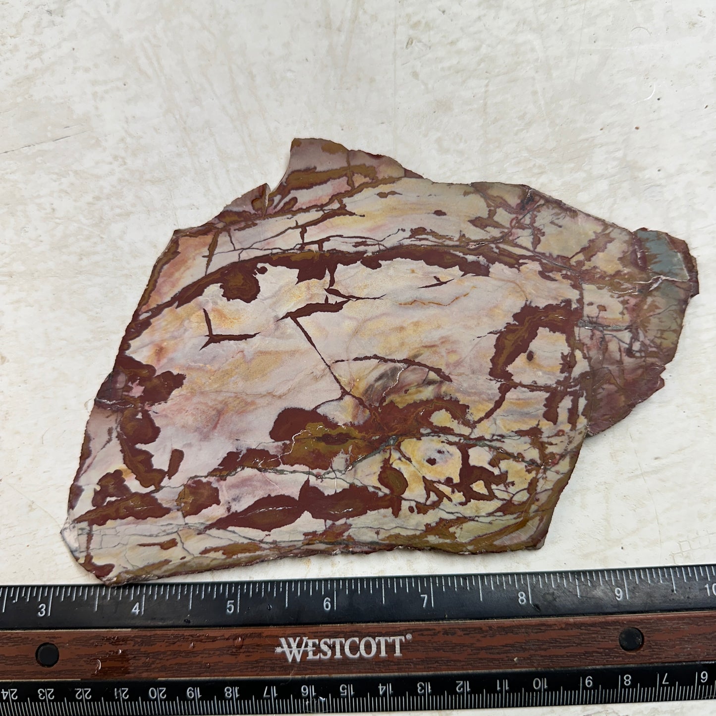 DEAD CAMEL JASPER Slab - 222 grams