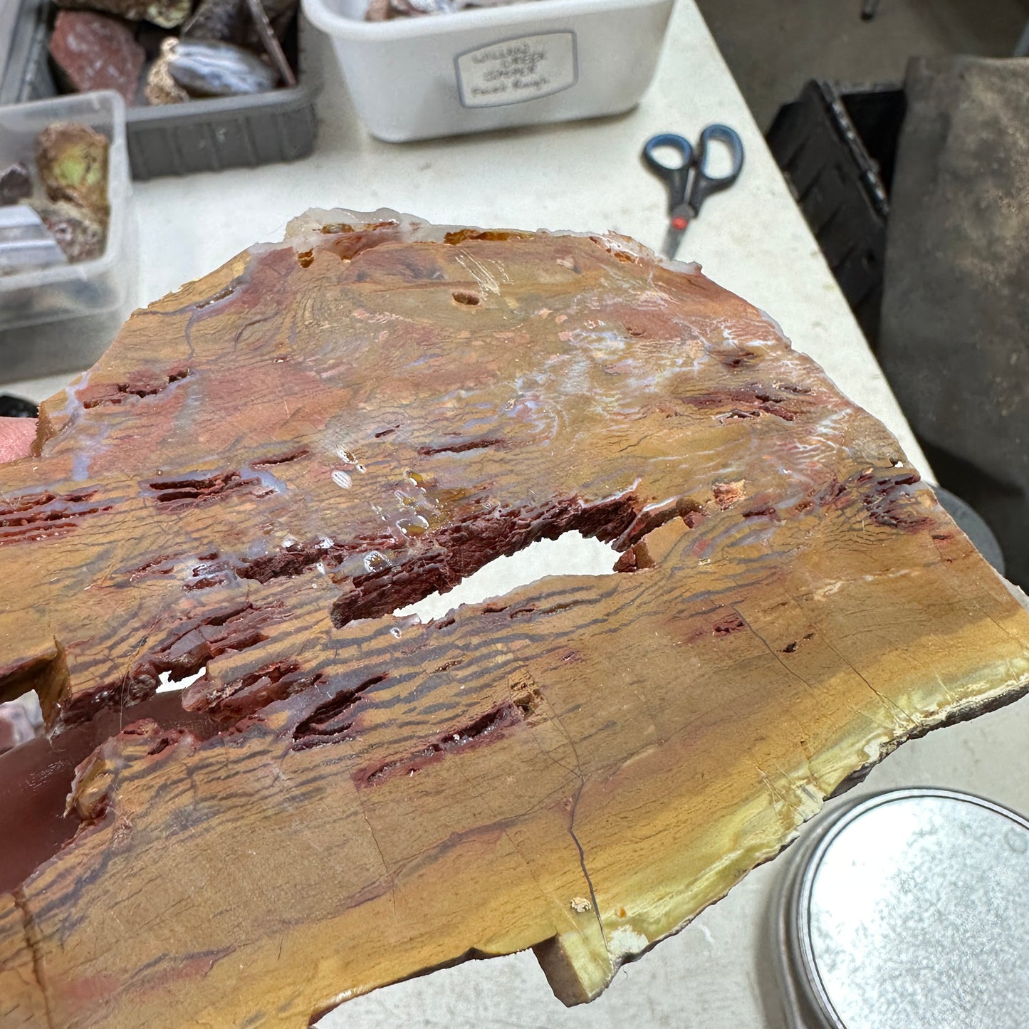 HOWARDITE Slab - 210 grams