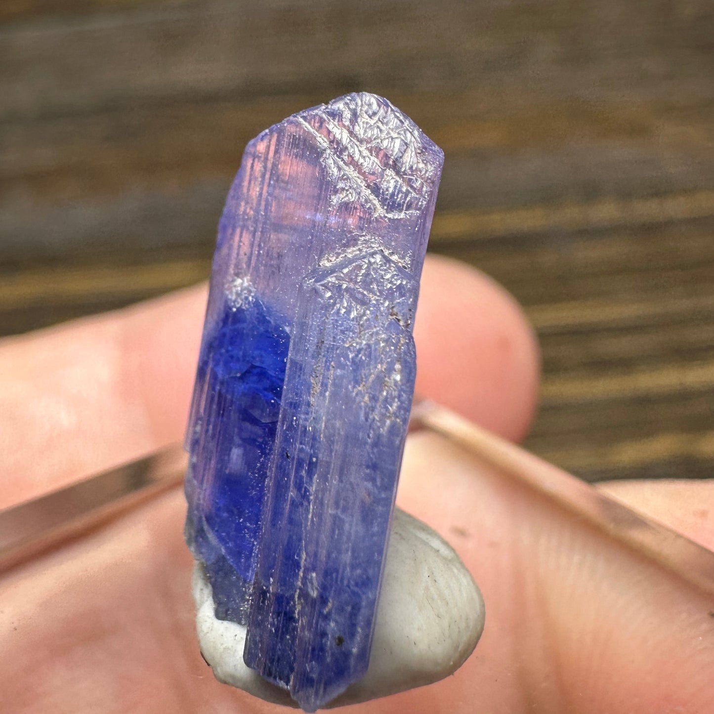 TANZANITE Crystal Display Mineral Specimen