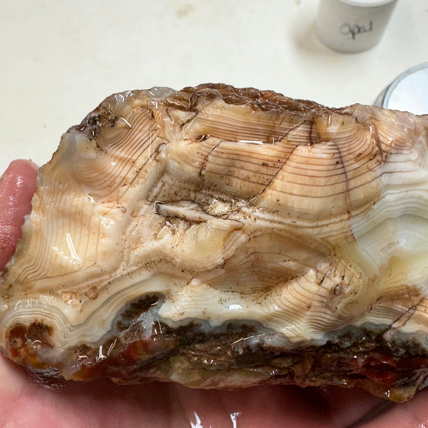 MOROCCAN AHOULI AGATE Rough - 2.24 Pounds