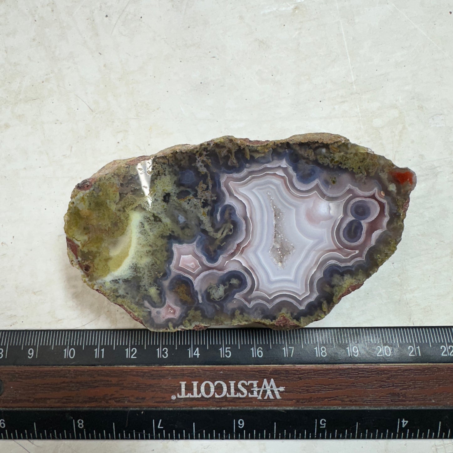 AGUA NUEVA AGATE Polished Specimen