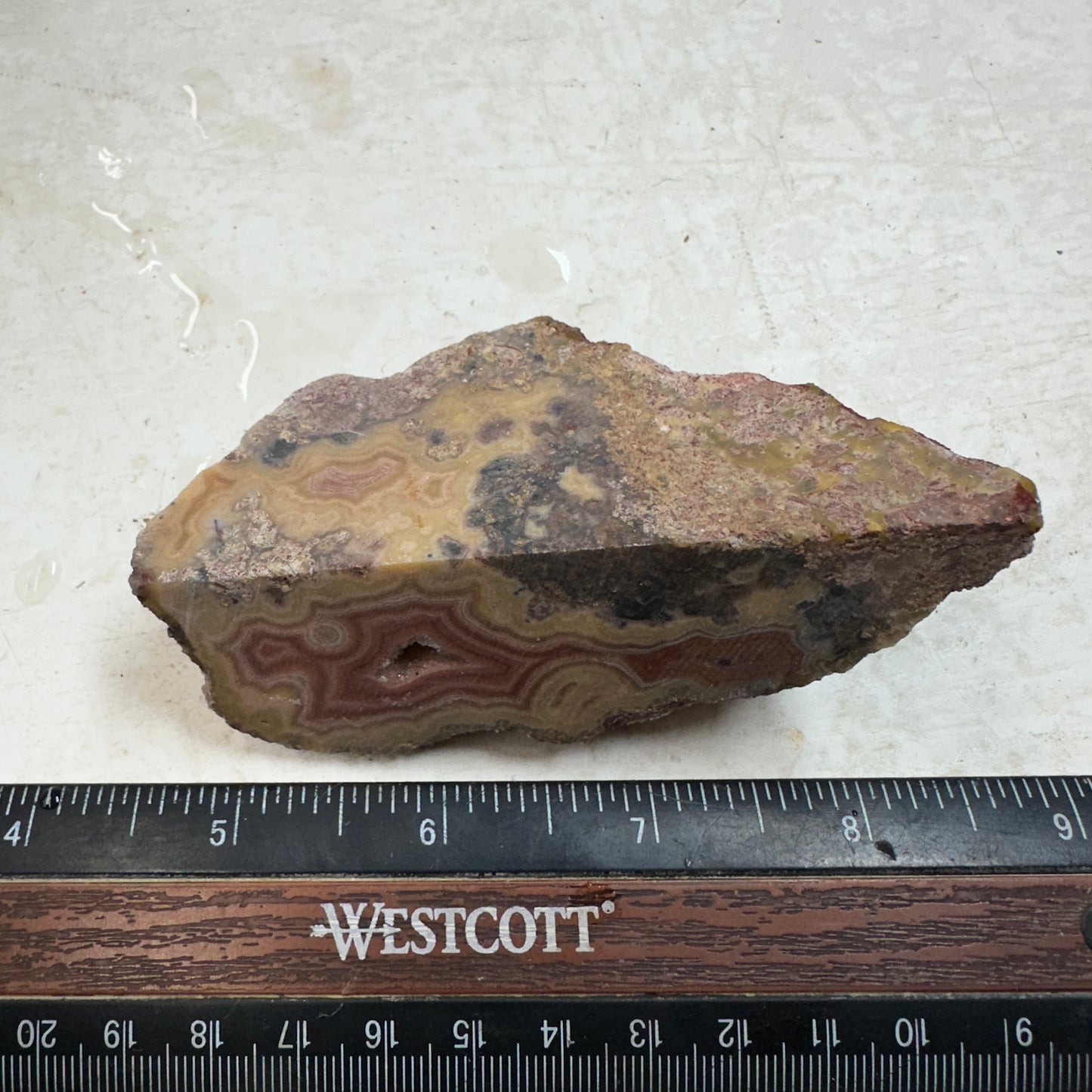 LAGUNA AGATE Rough - 0.30 Pounds