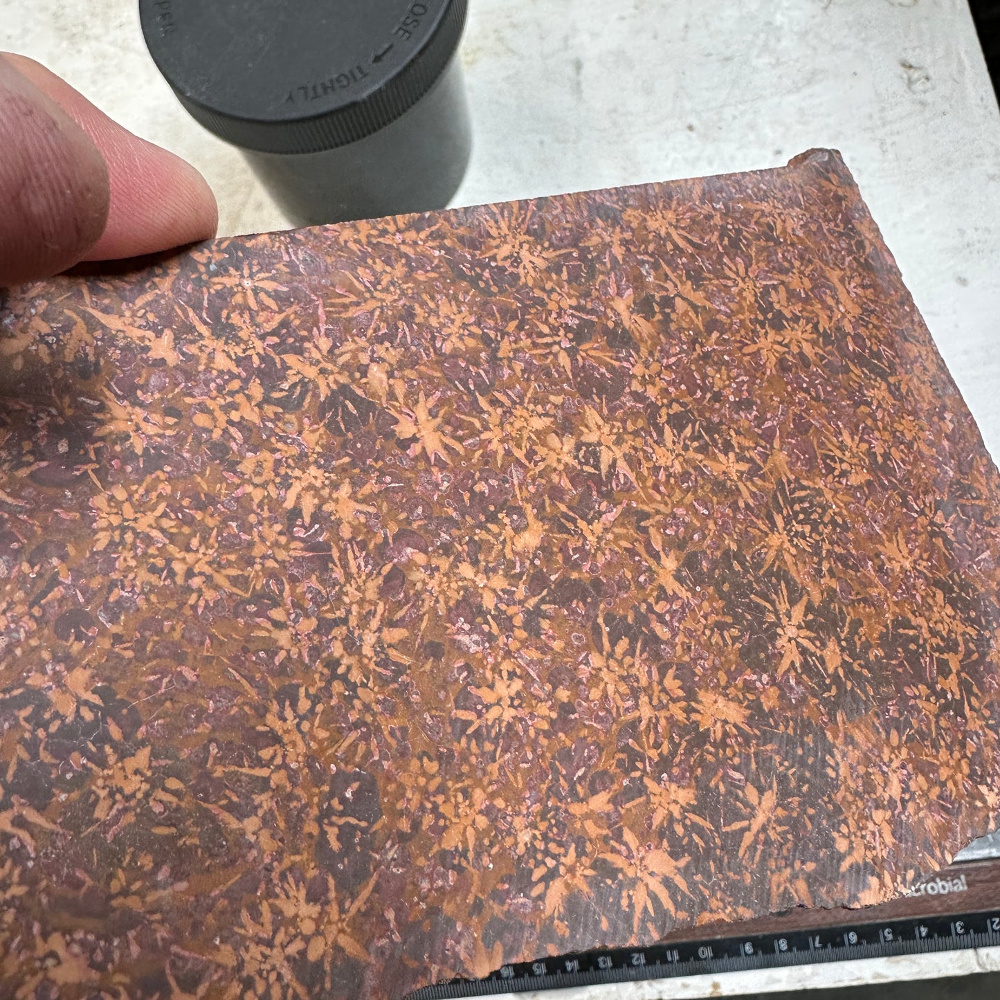 STARBURST RHYOLITE Slab - 260 grams