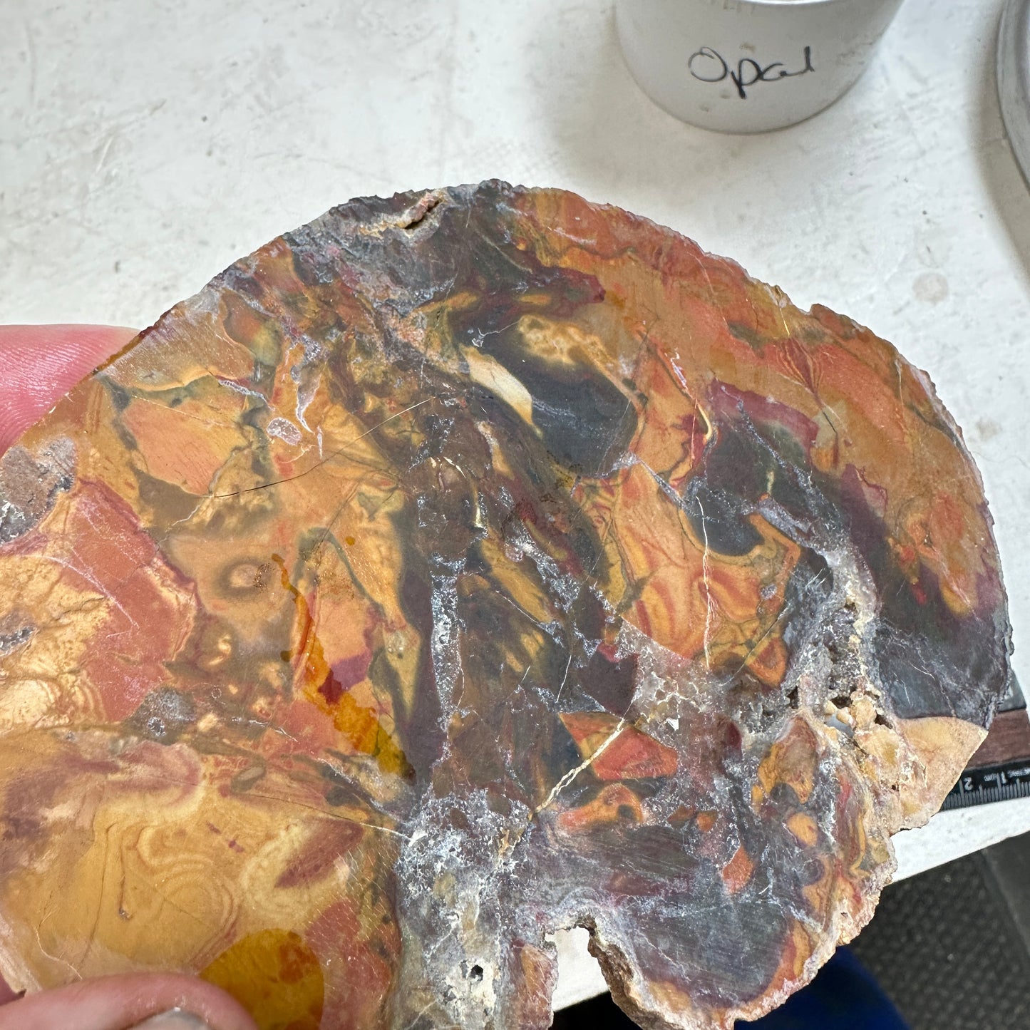 AMAZON VALLEY JASPER Slab - 261 grams