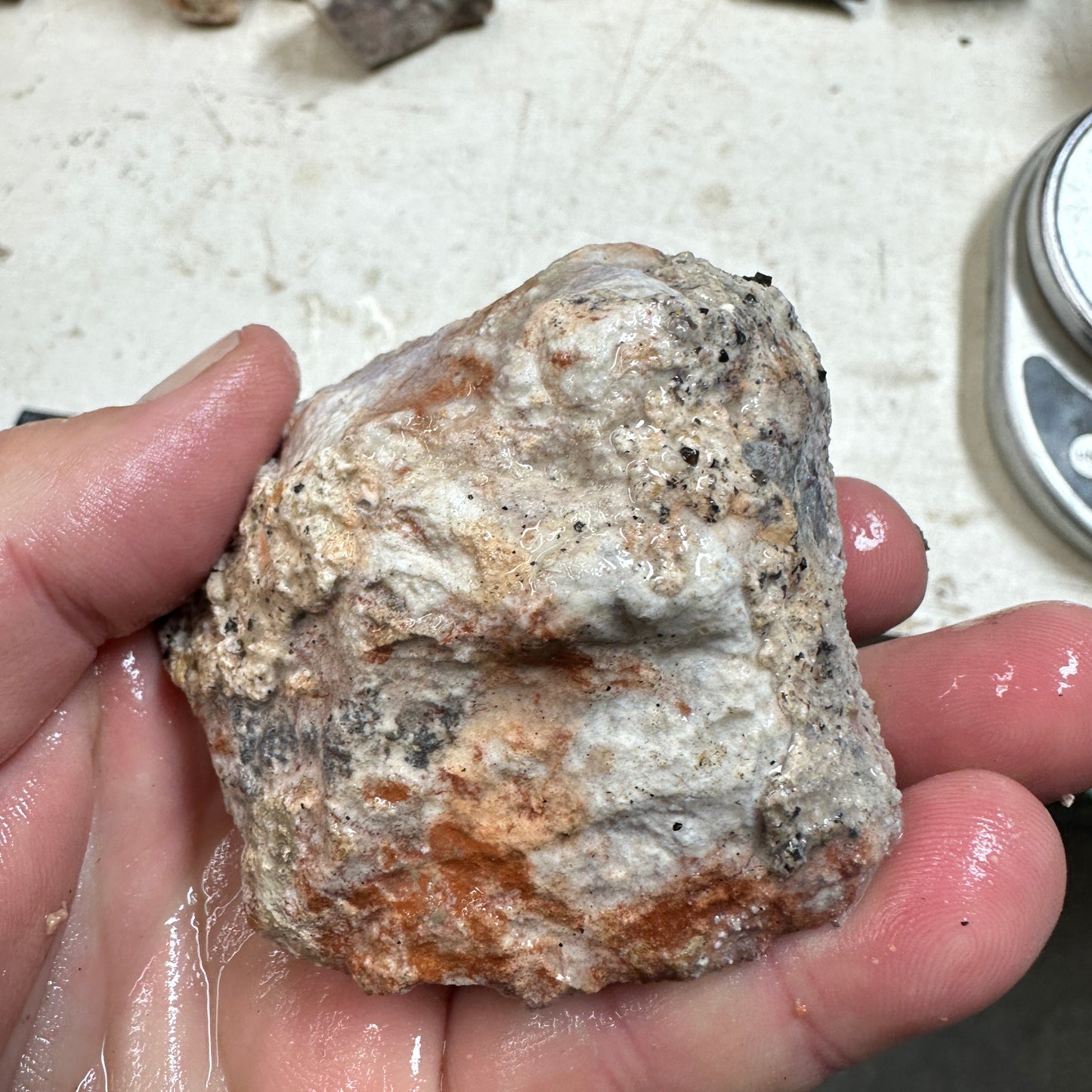 TIFFANY STONE Rough - 0.67 Pounds